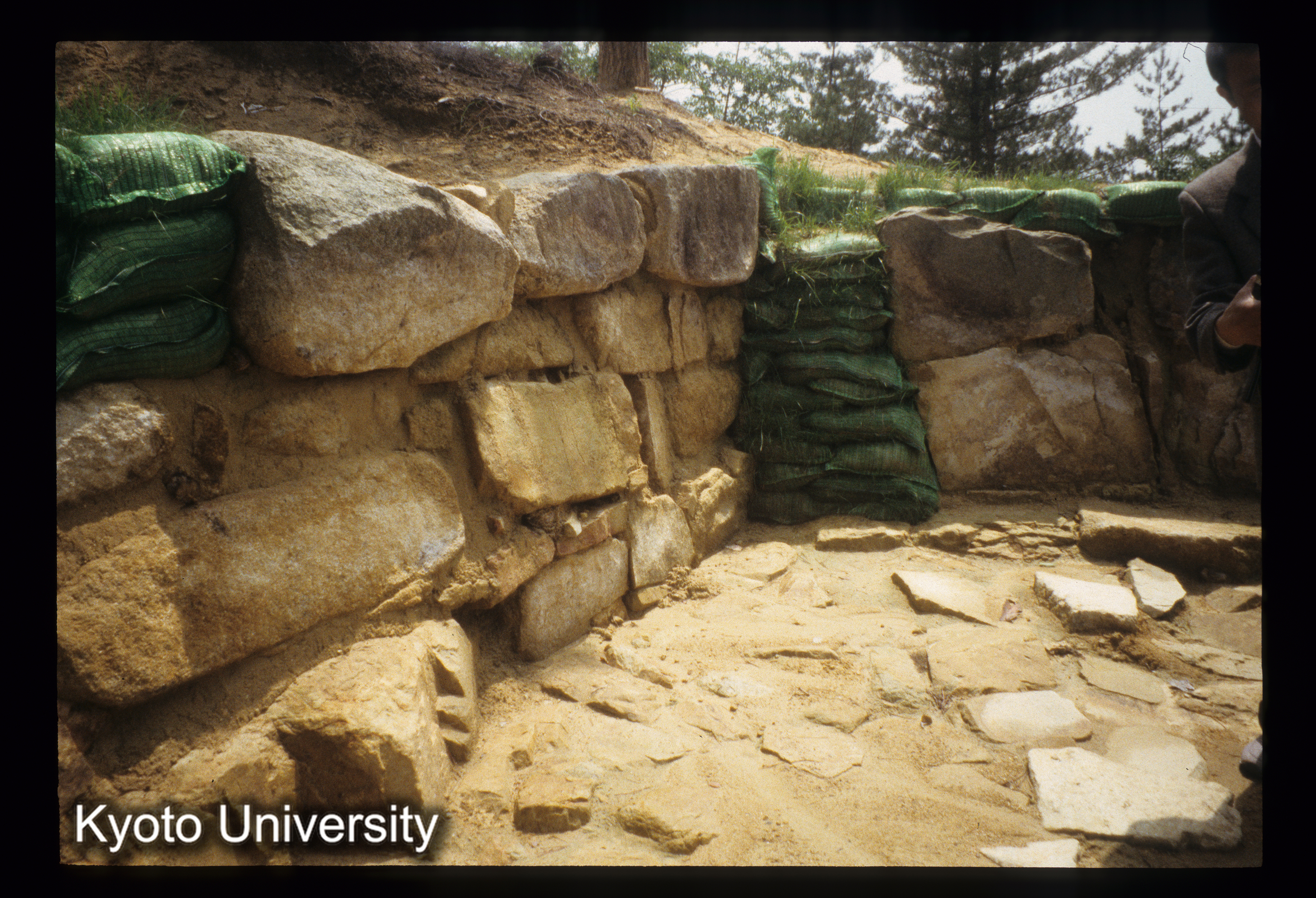 ［スライド］ (1)