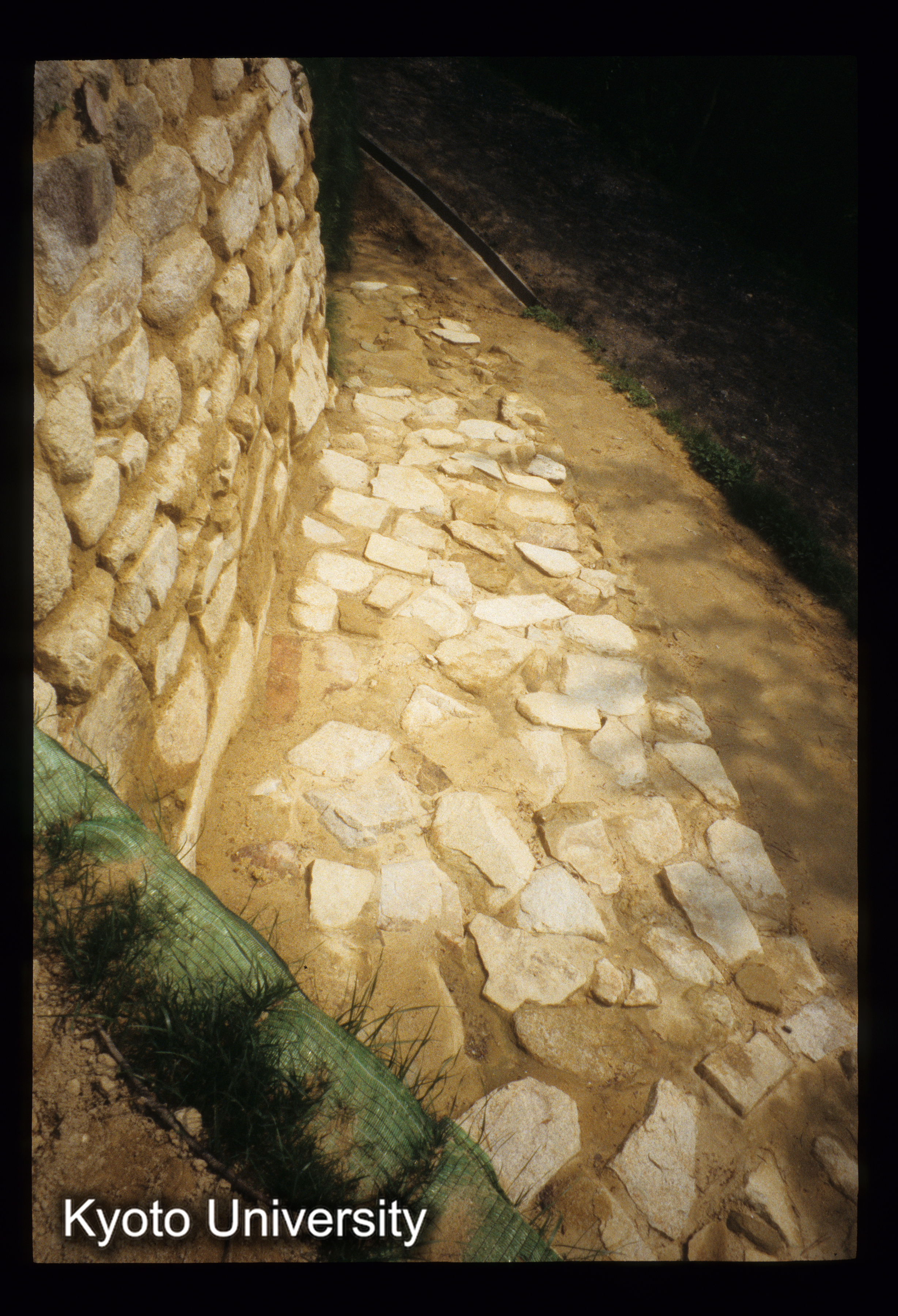 ［スライド］ (1)