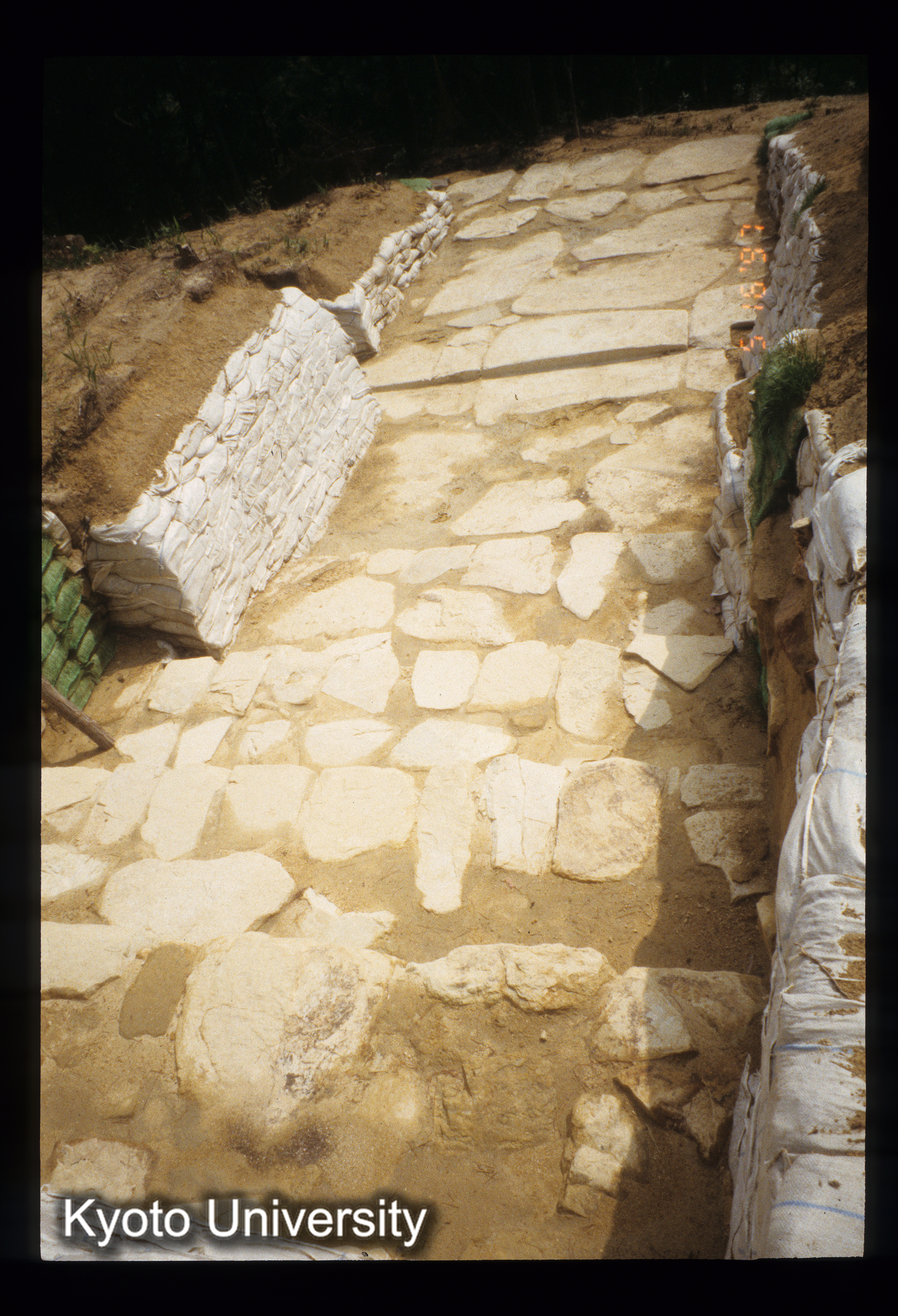 ［スライド］ (1)