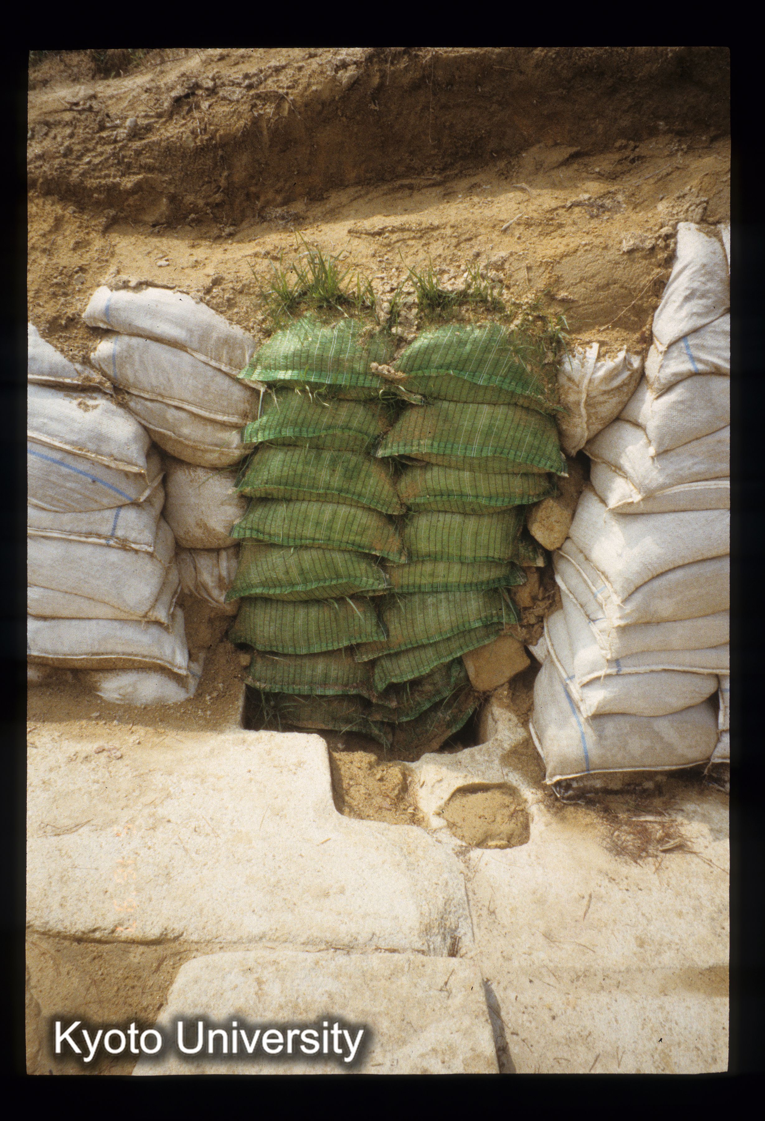 ［スライド］ (1)