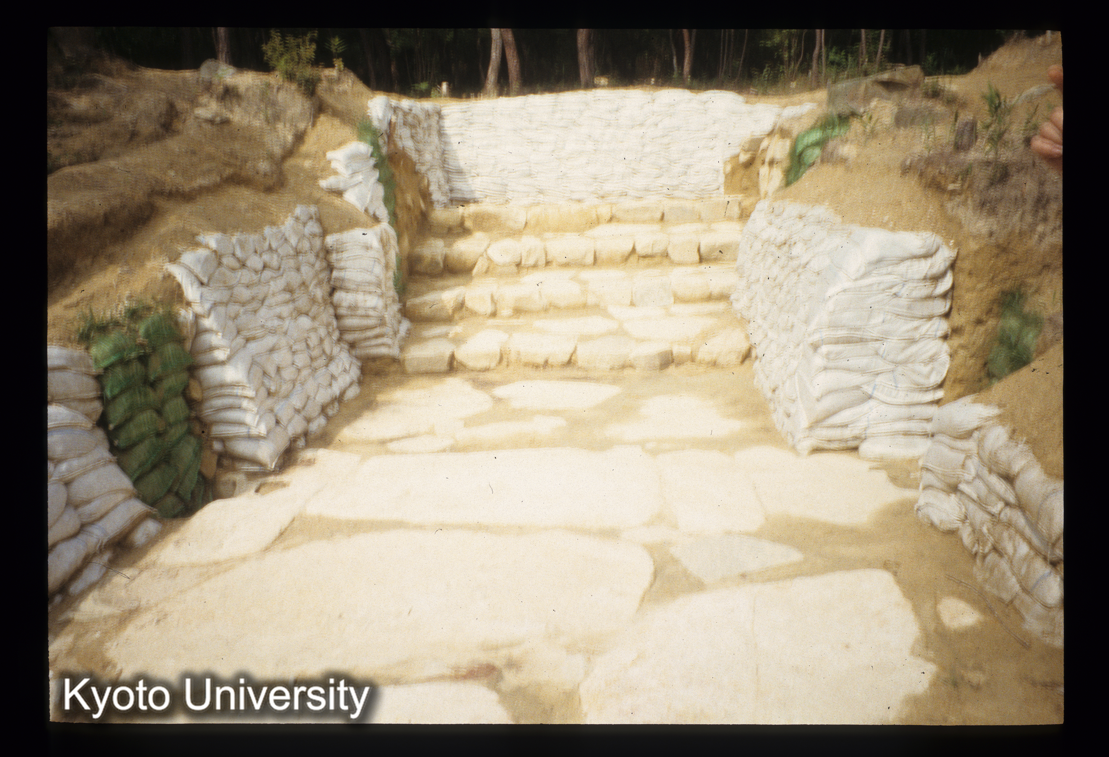 ［スライド］ (1)