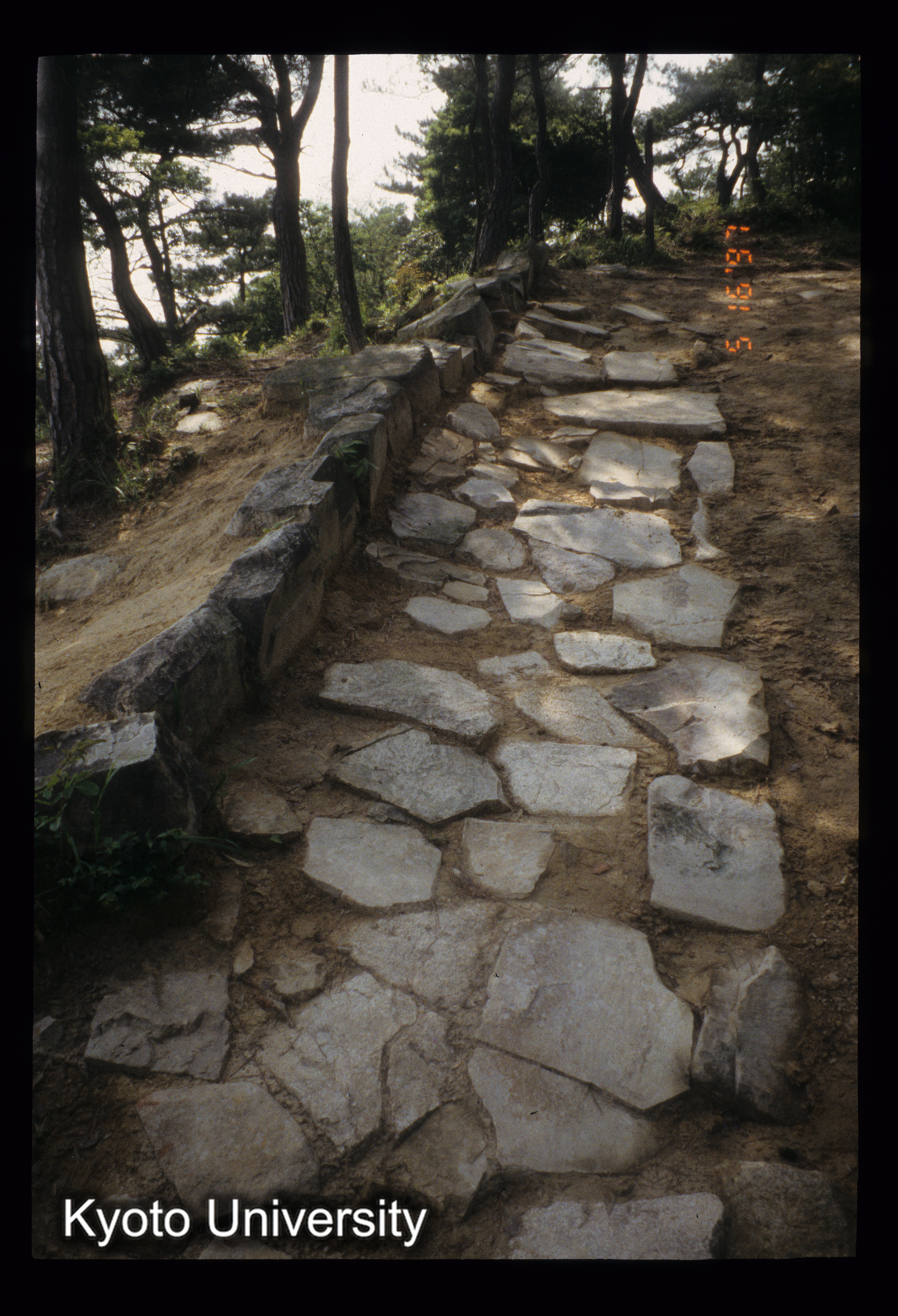 ［スライド］ (1)