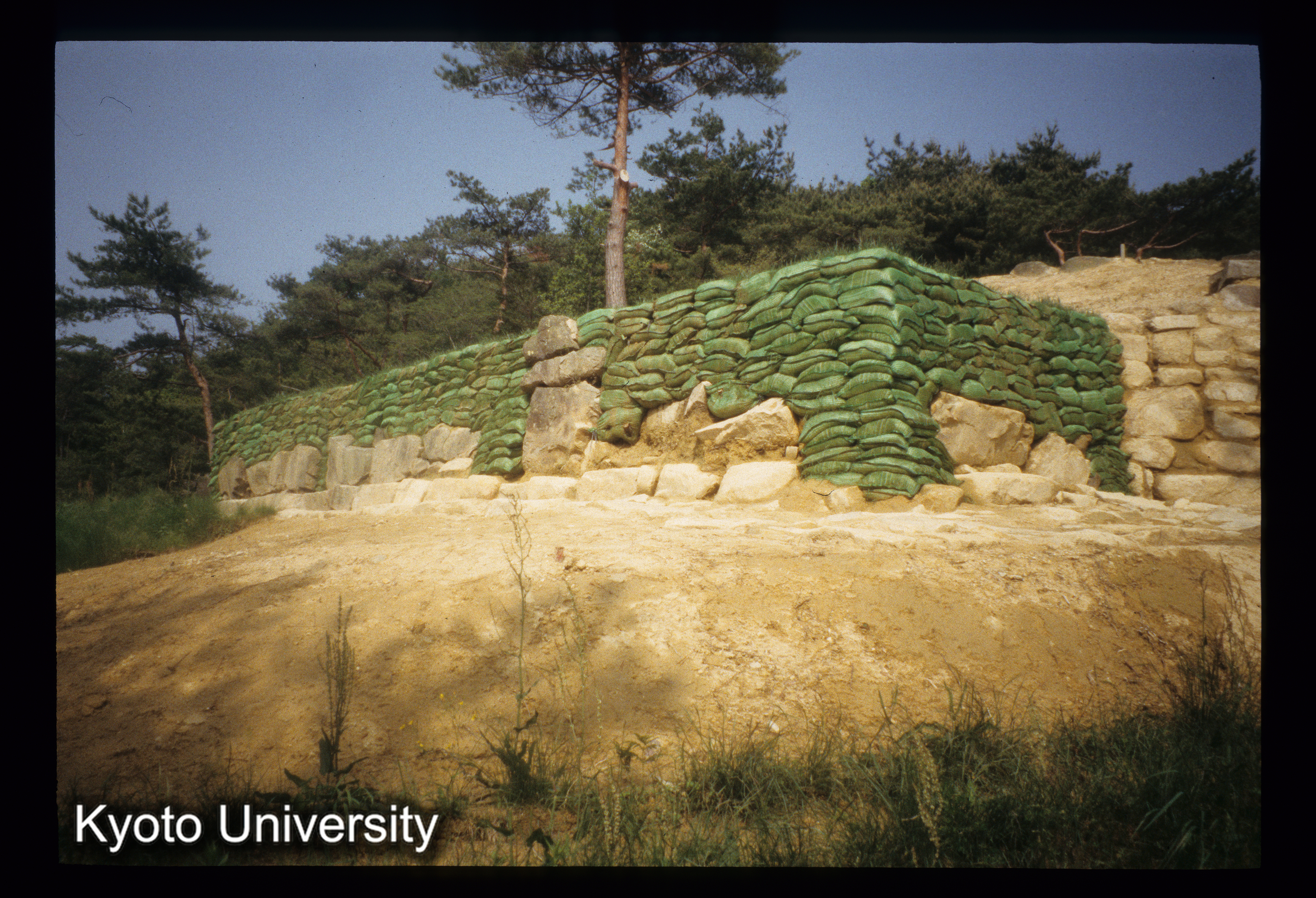 ［スライド］ (1)