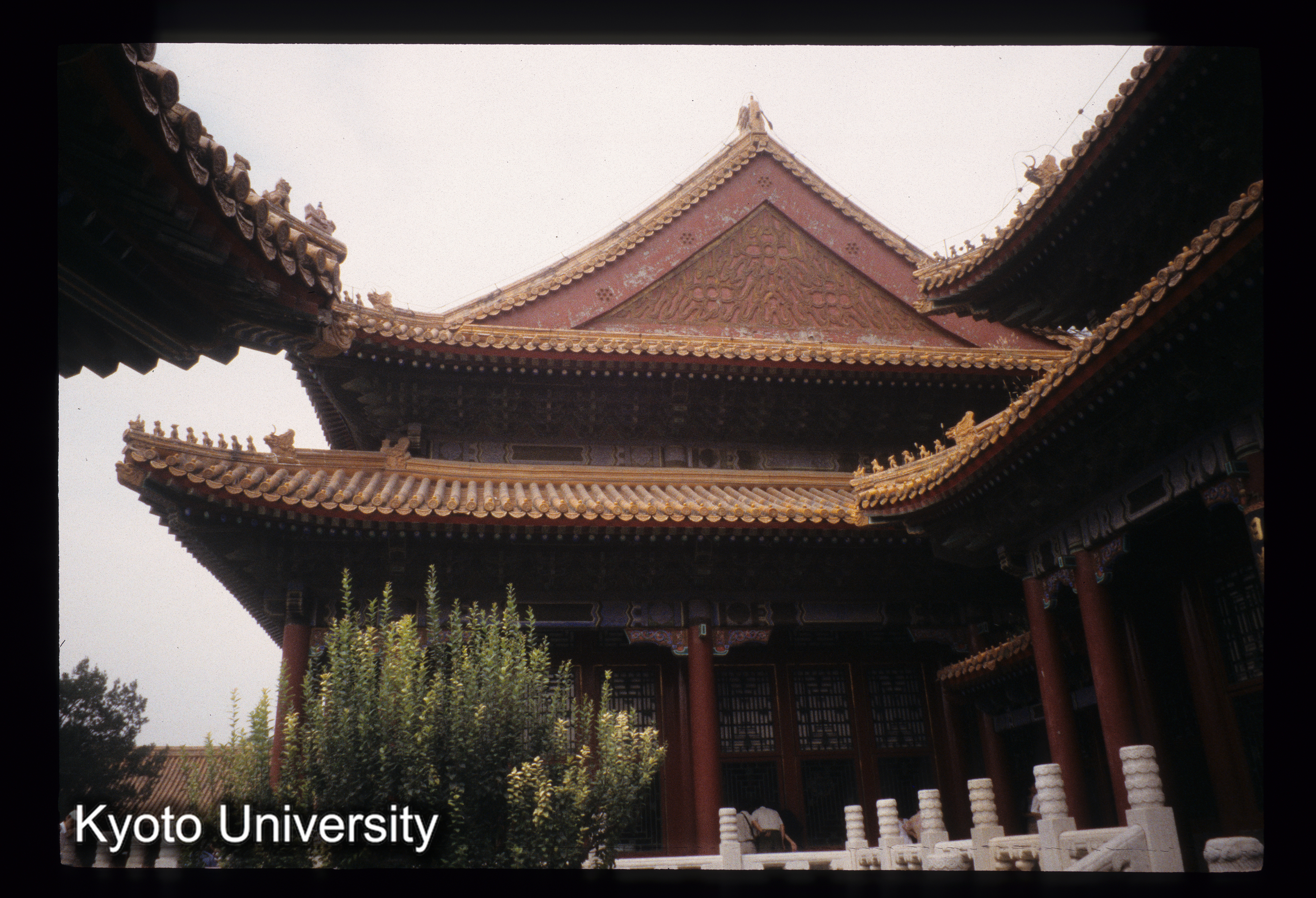 ［スライド］ (1)