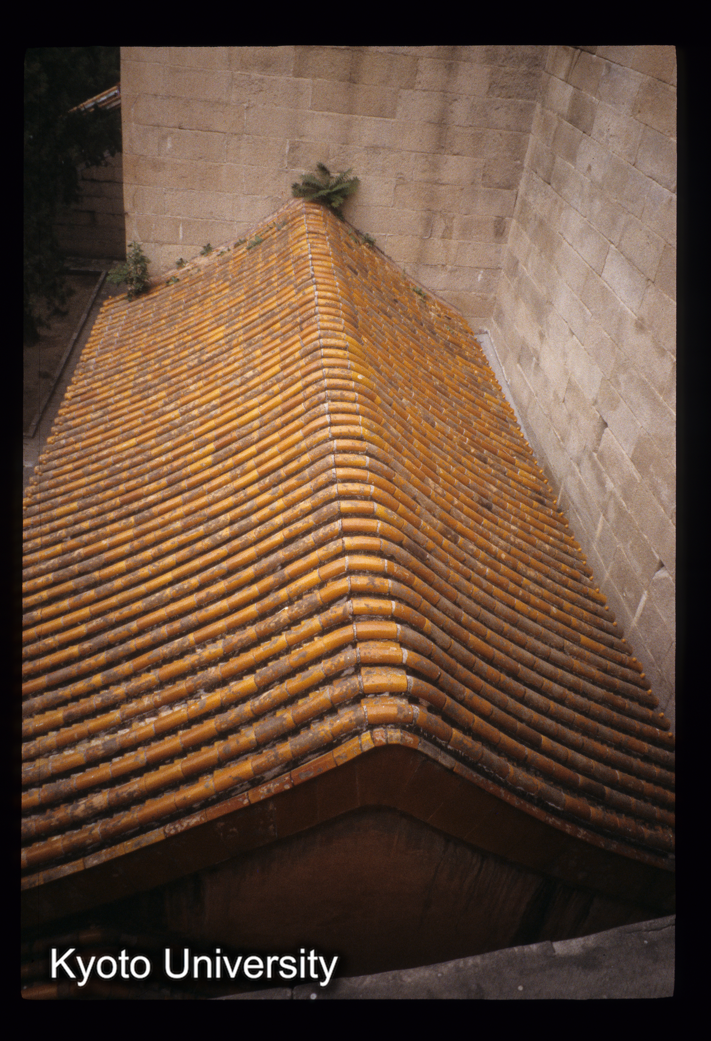 ［スライド］ (1)