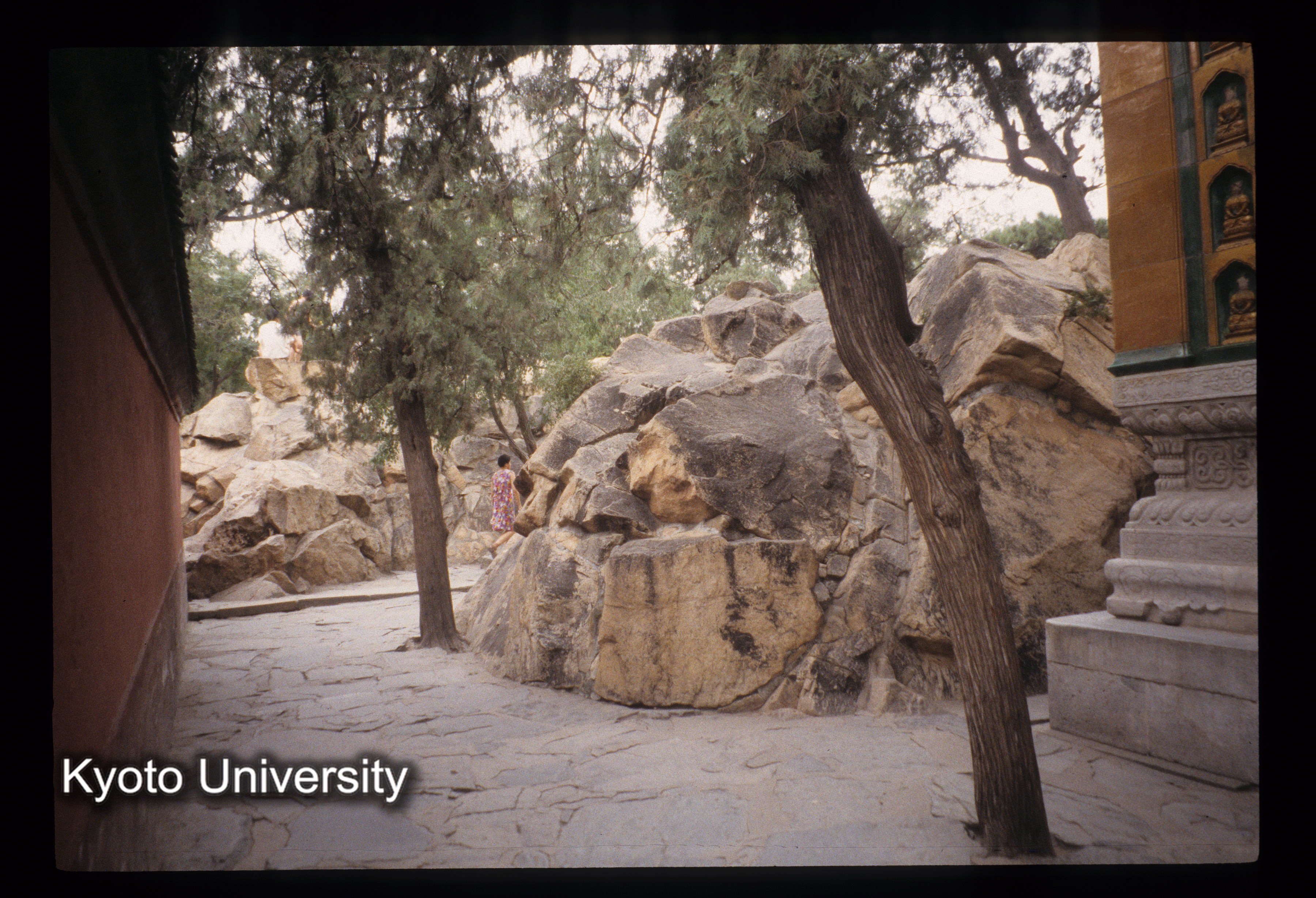 ［スライド］ (1)