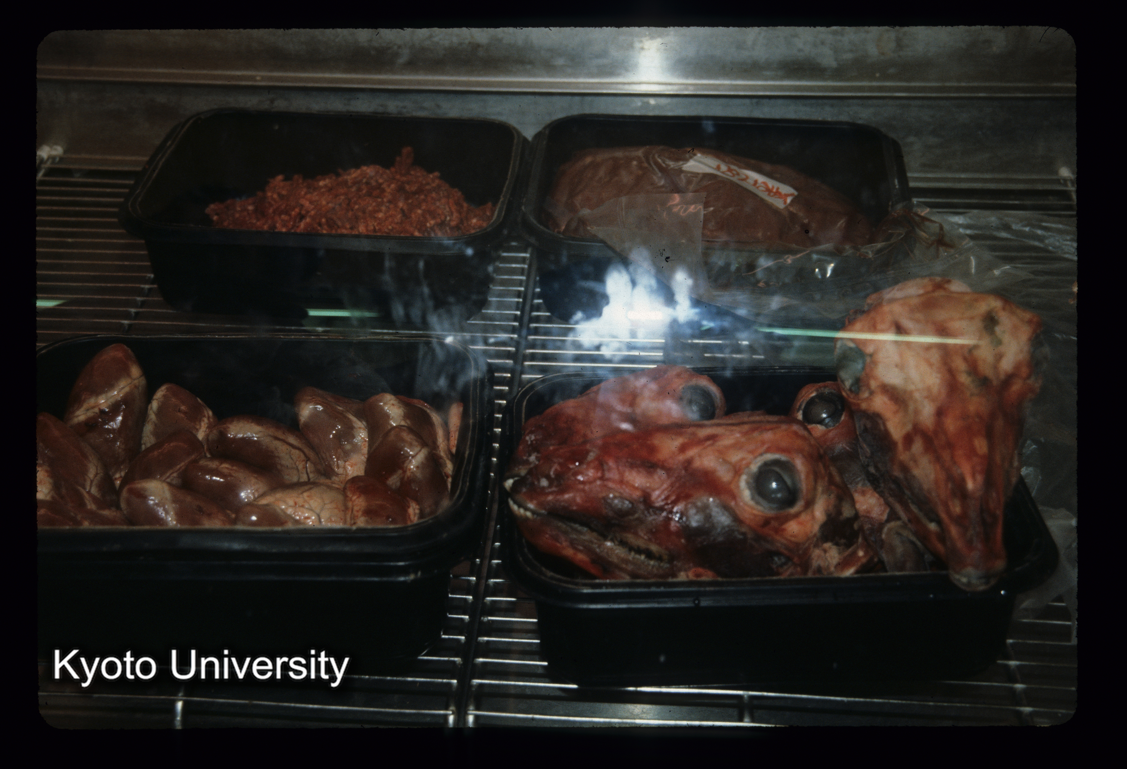 ［スライド］ (1)