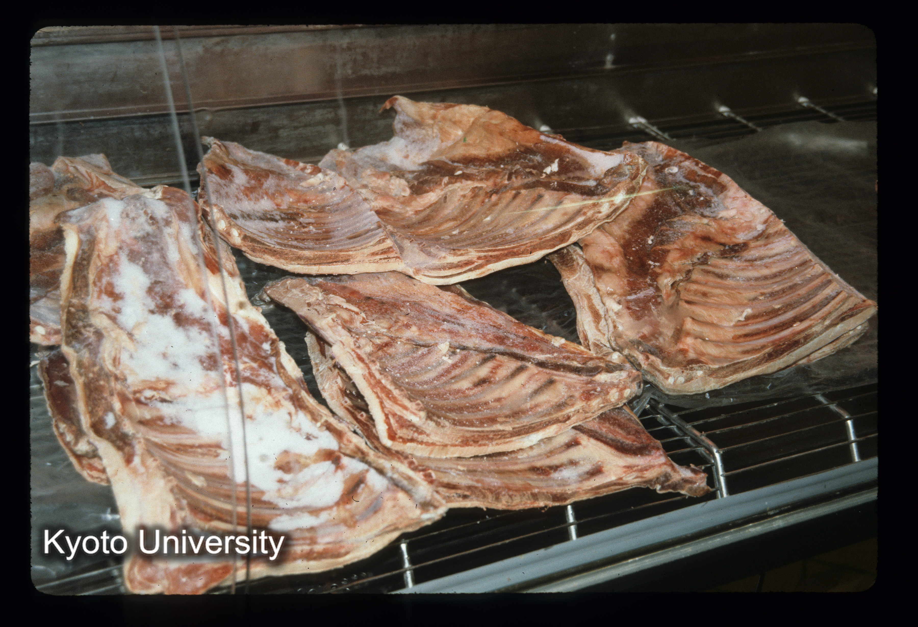 ［スライド］ (1)