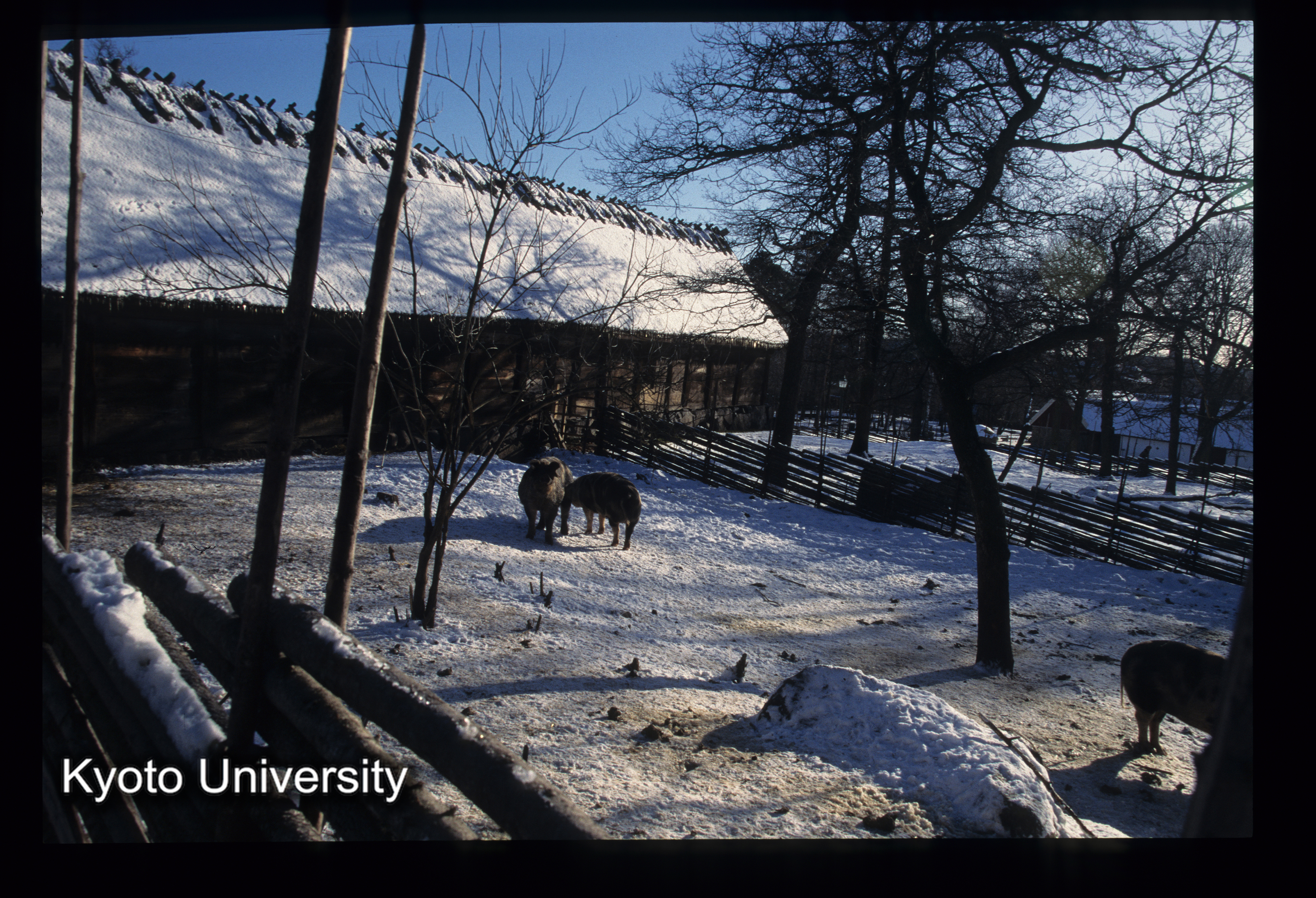 ［スライド］ (1)