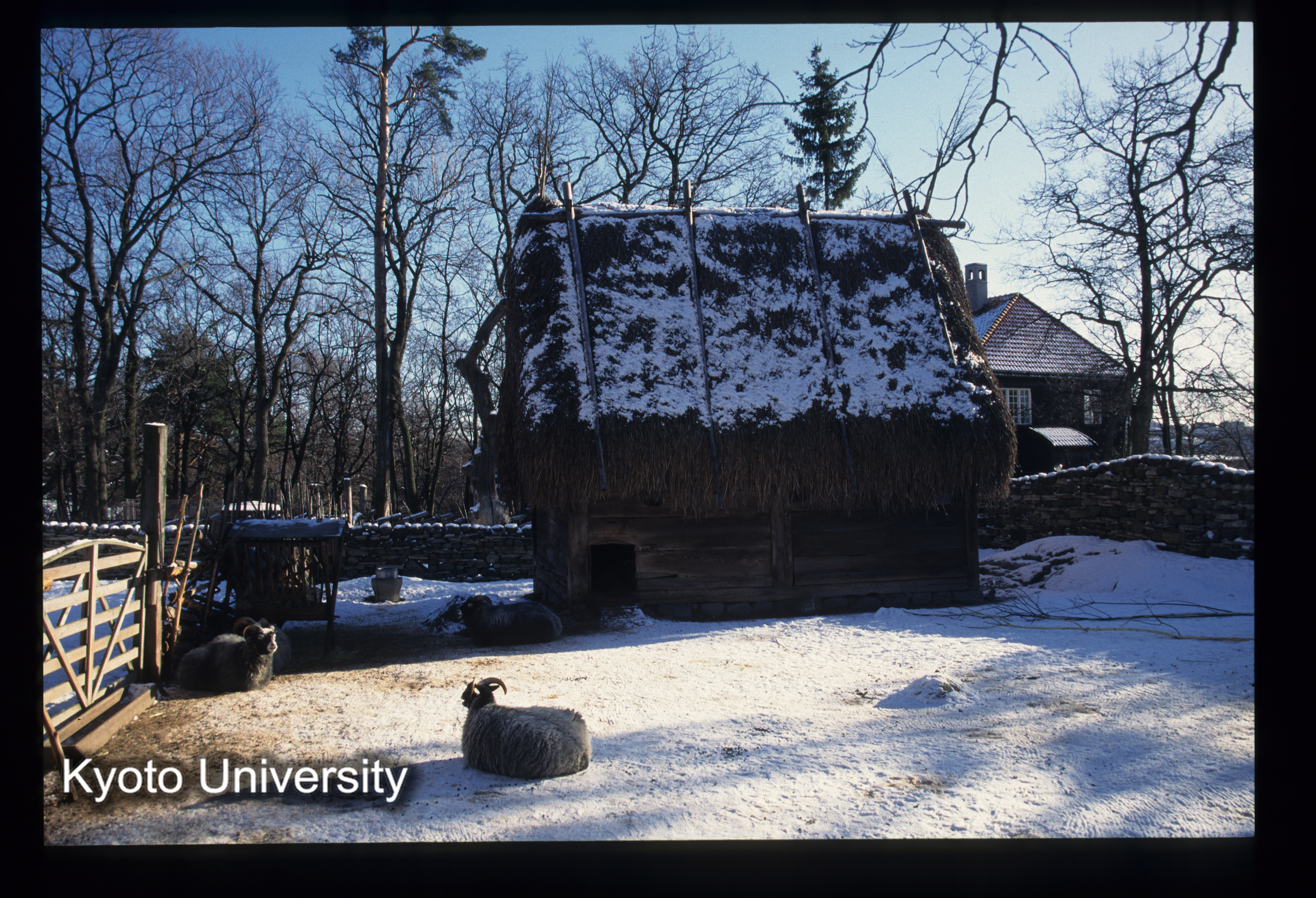 ［スライド］ (1)