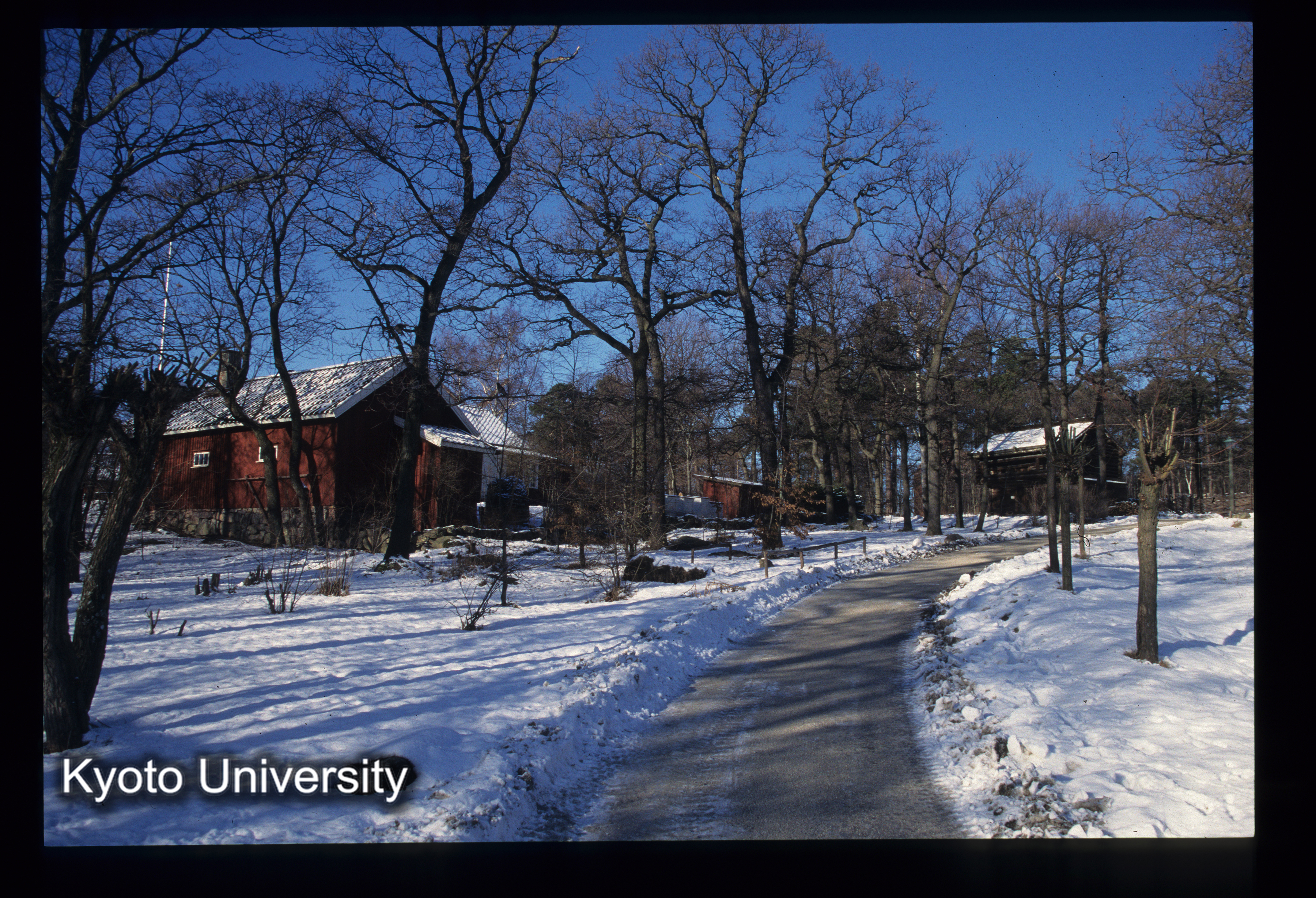 ［スライド］ (1)