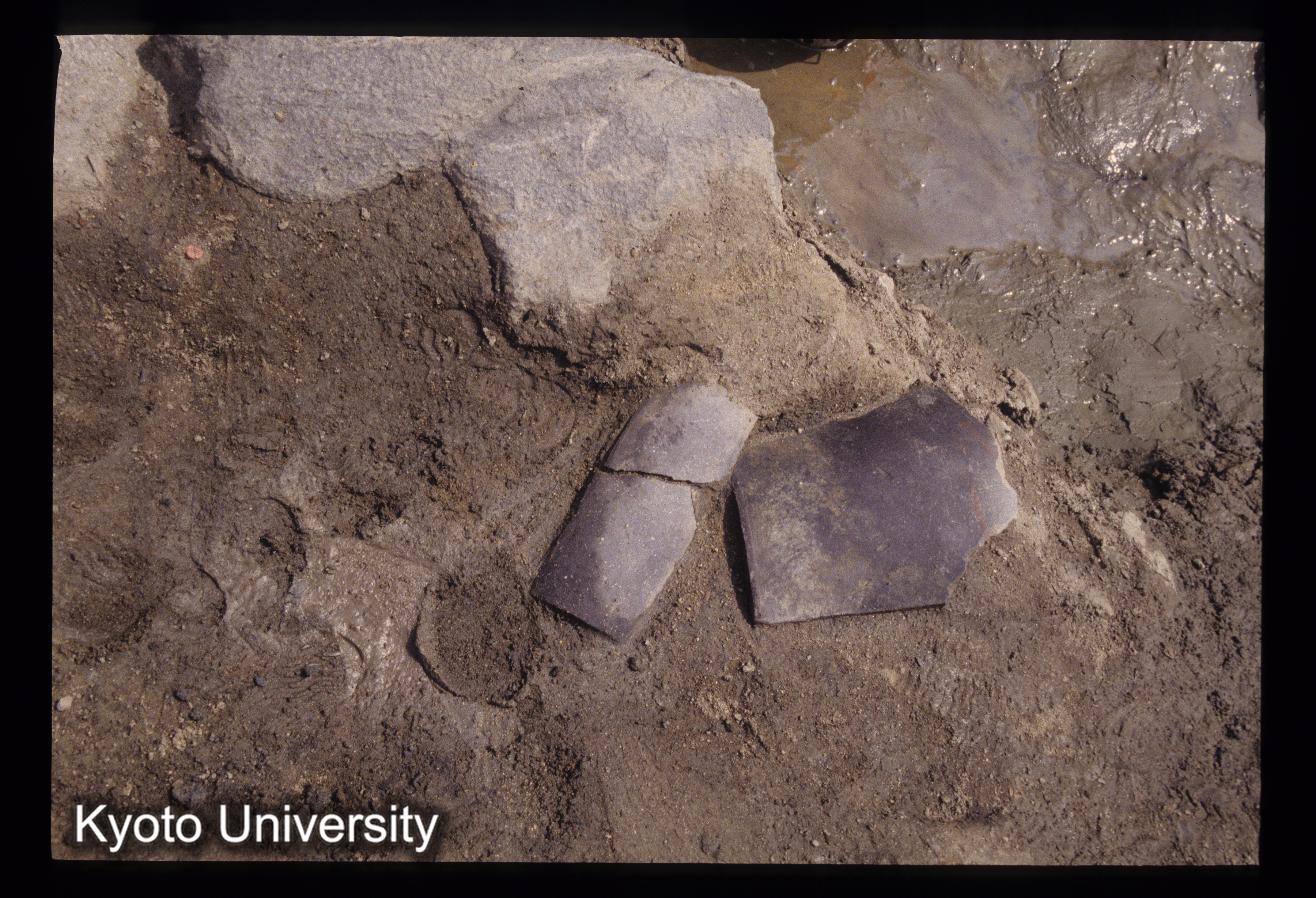 ［スライド］ (1)