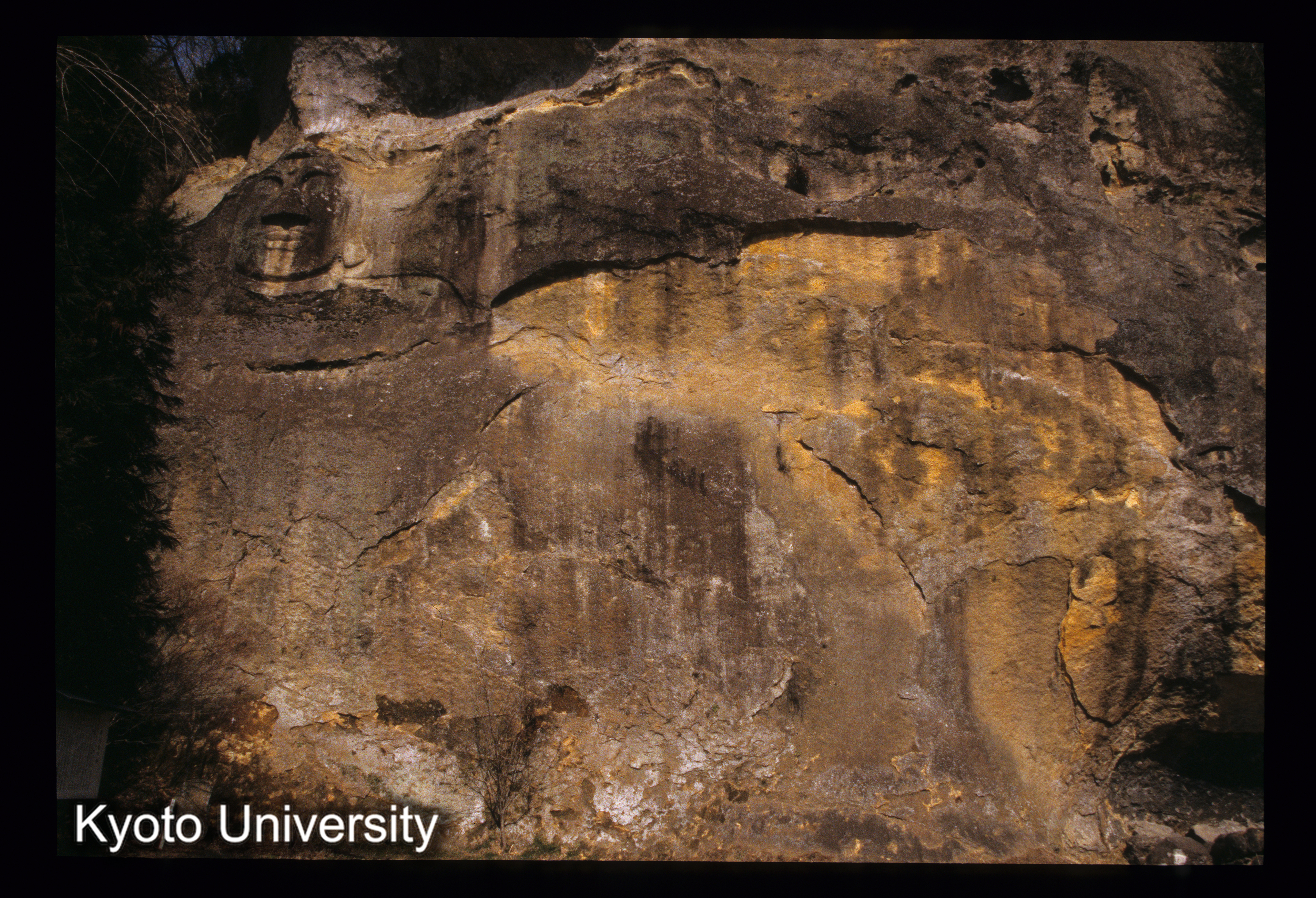 ［スライド］ (1)