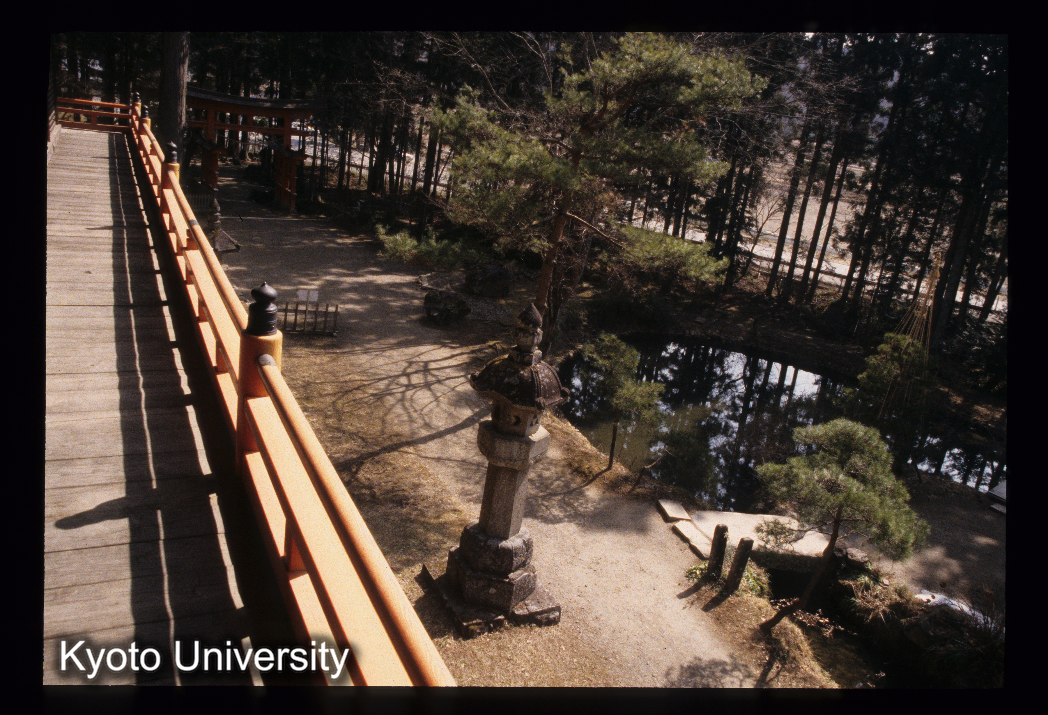 ［スライド］ (1)