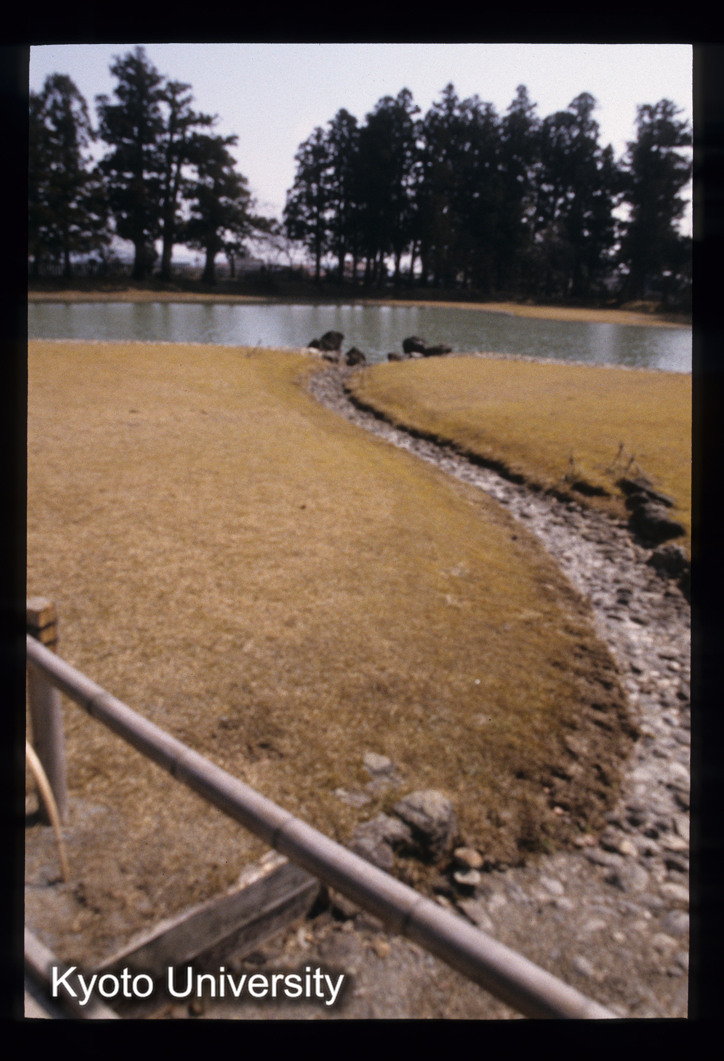 ［スライド］ (1)