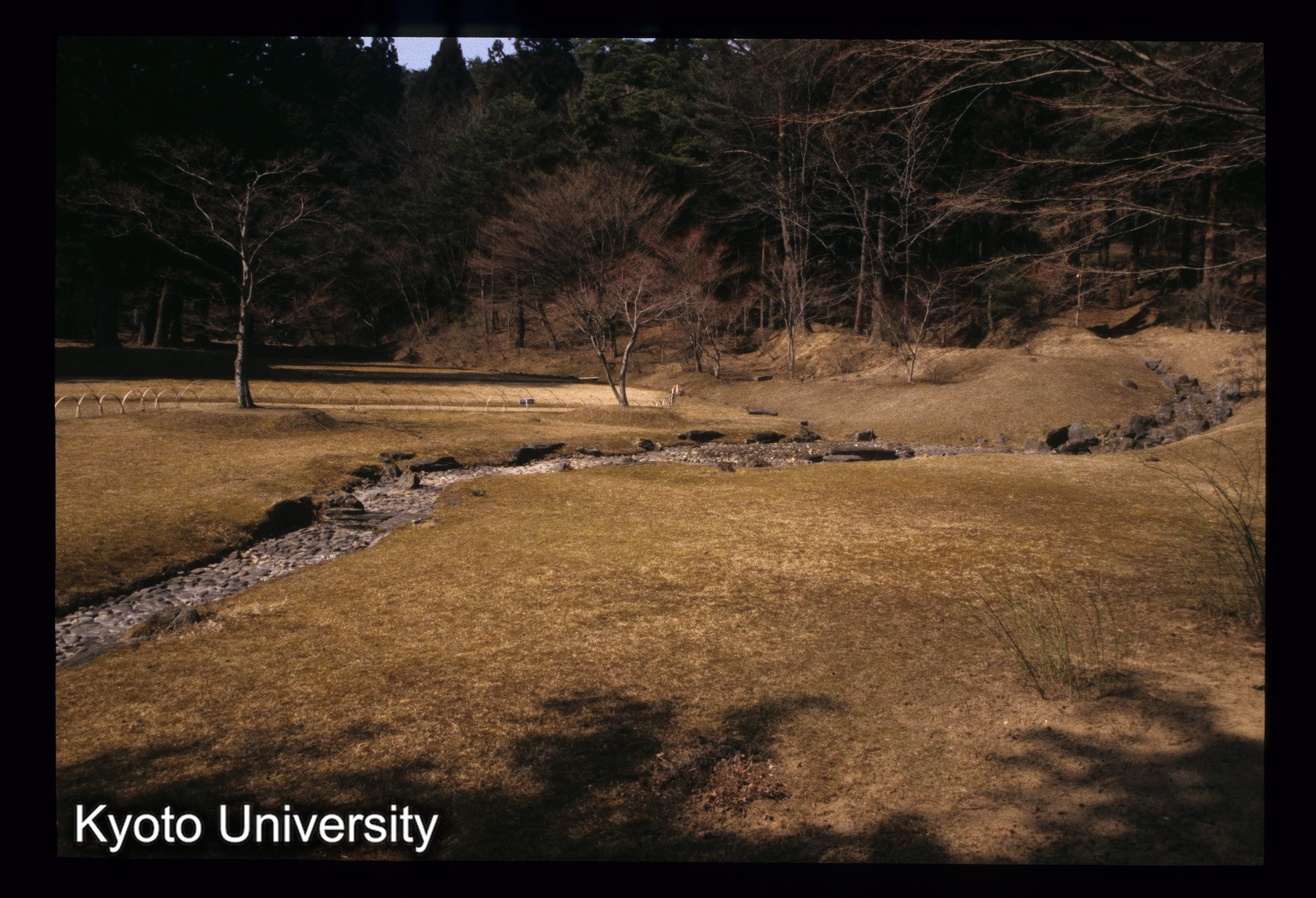 ［スライド］ (1)