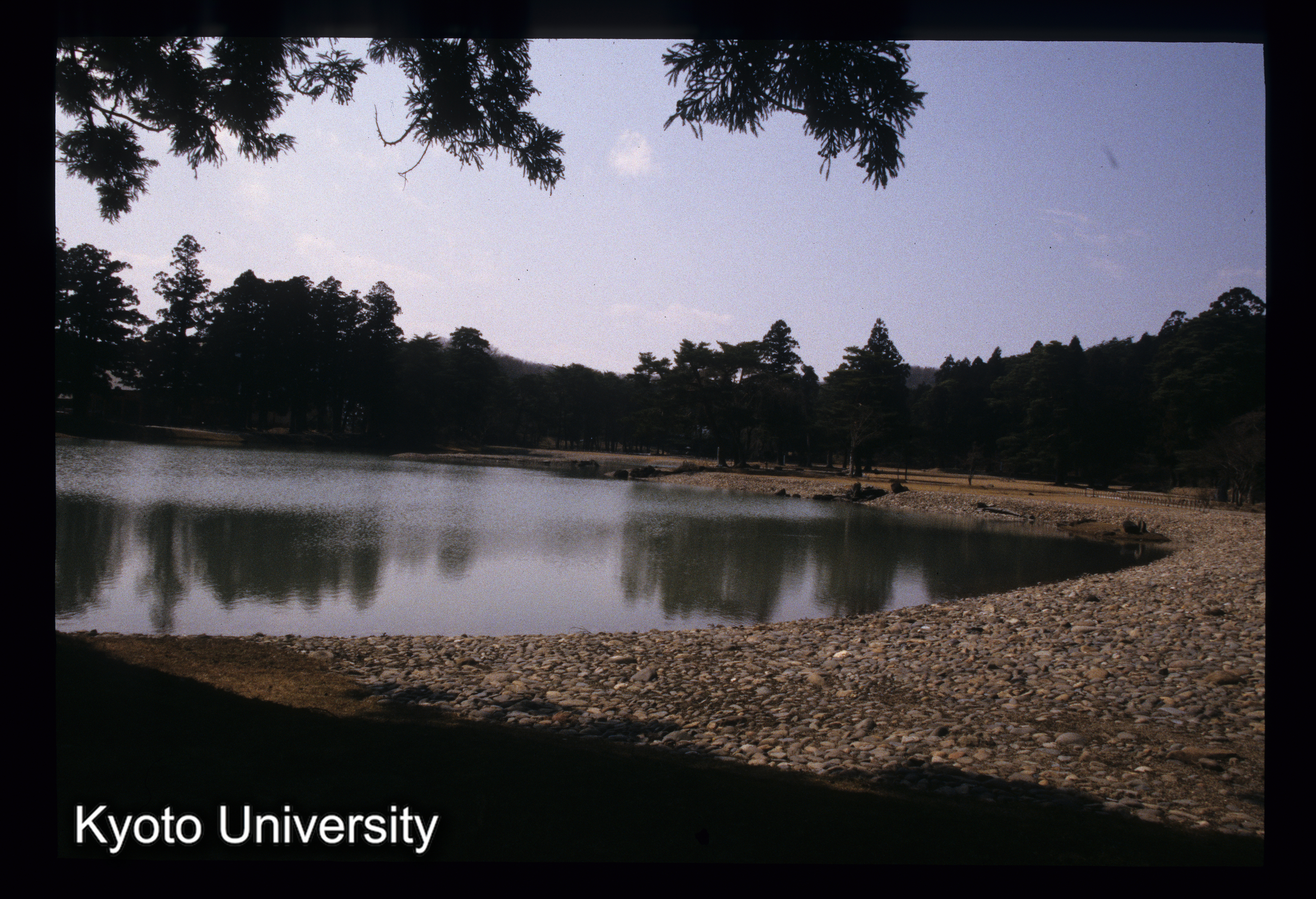 ［スライド］ (1)