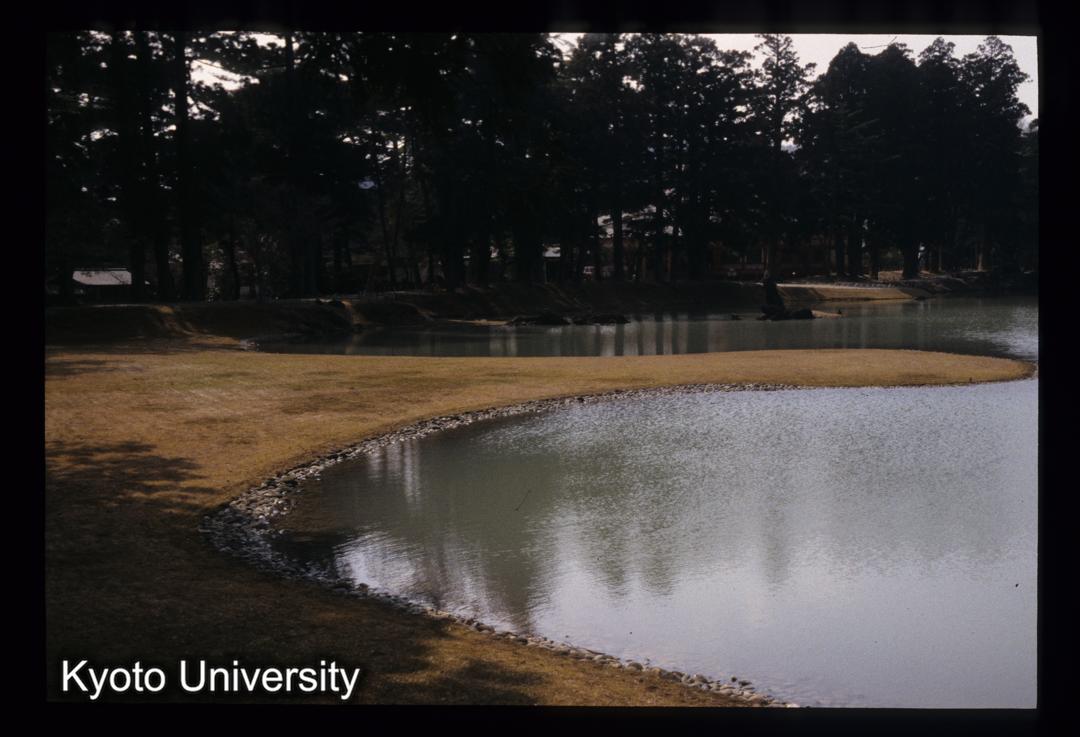 ［スライド］ (1)