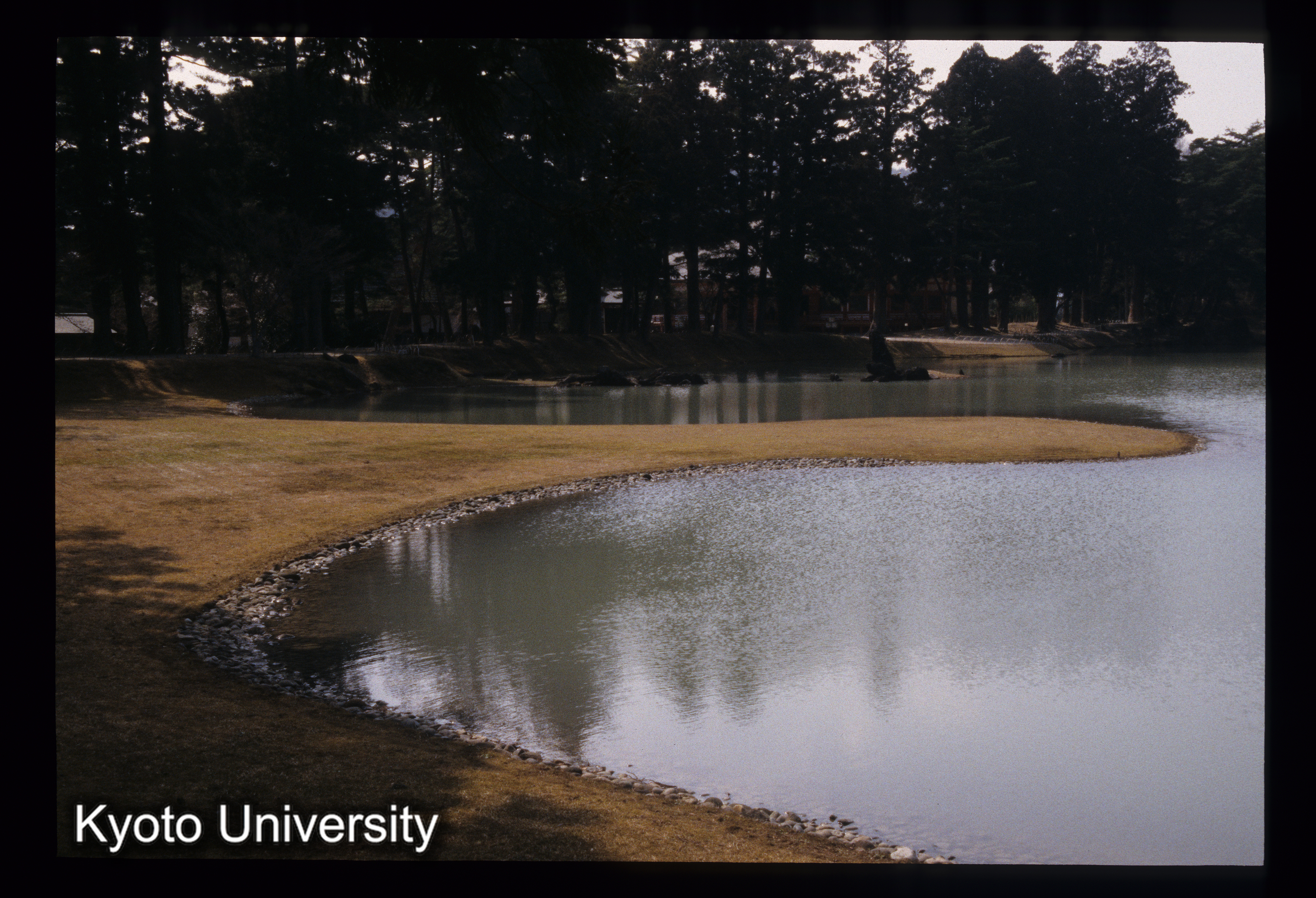 ［スライド］ (1)