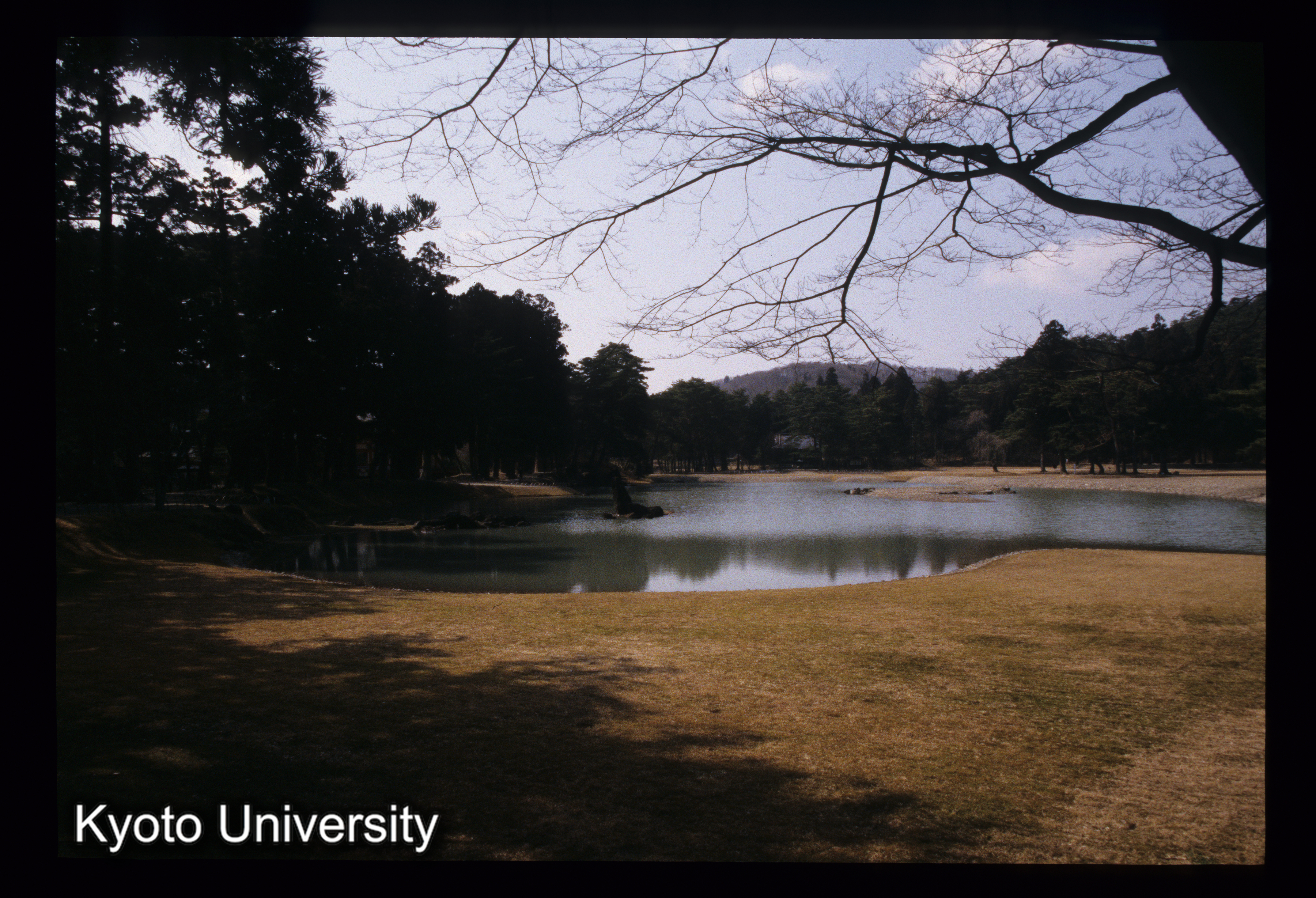 ［スライド］ (1)