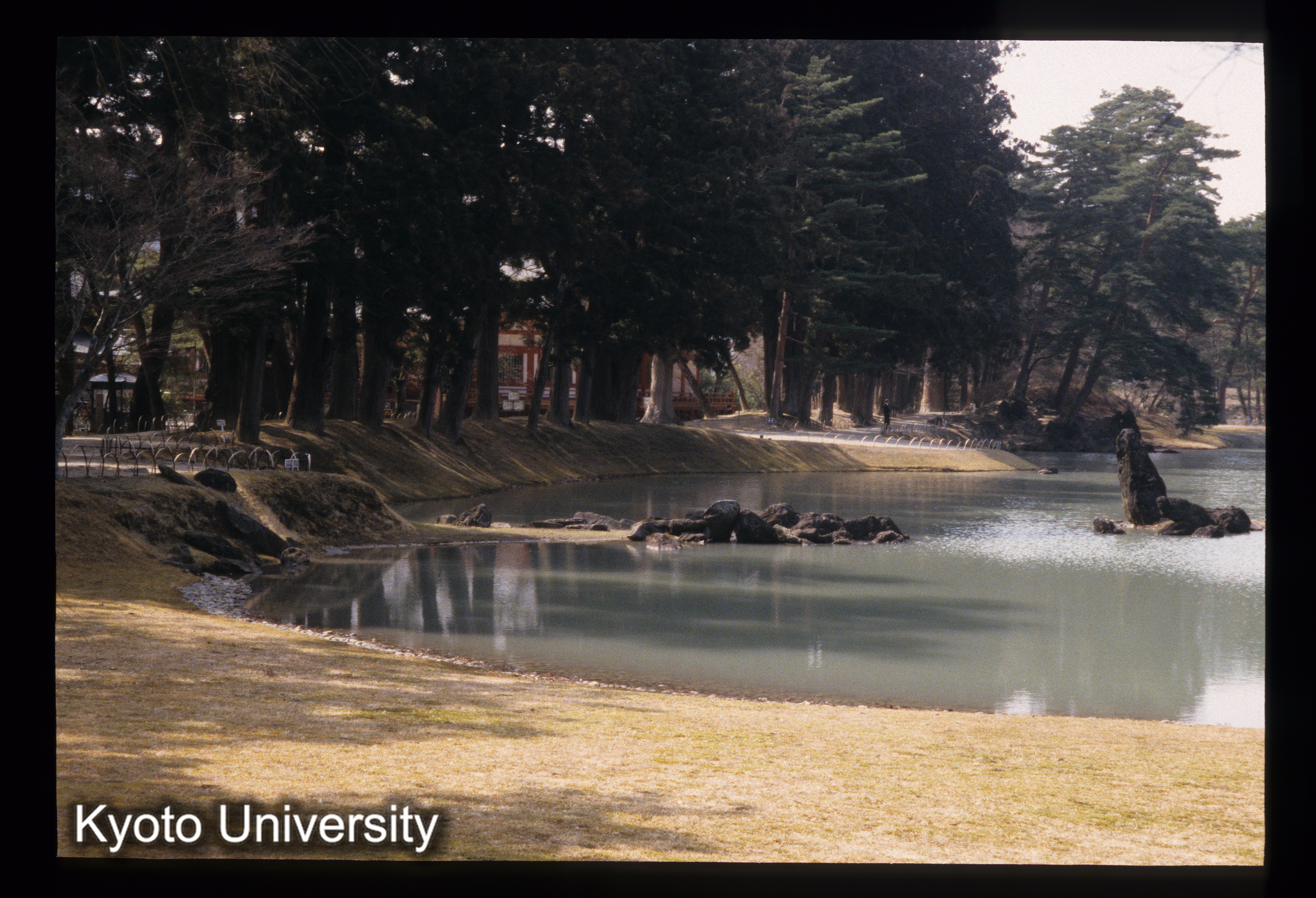 ［スライド］ (1)