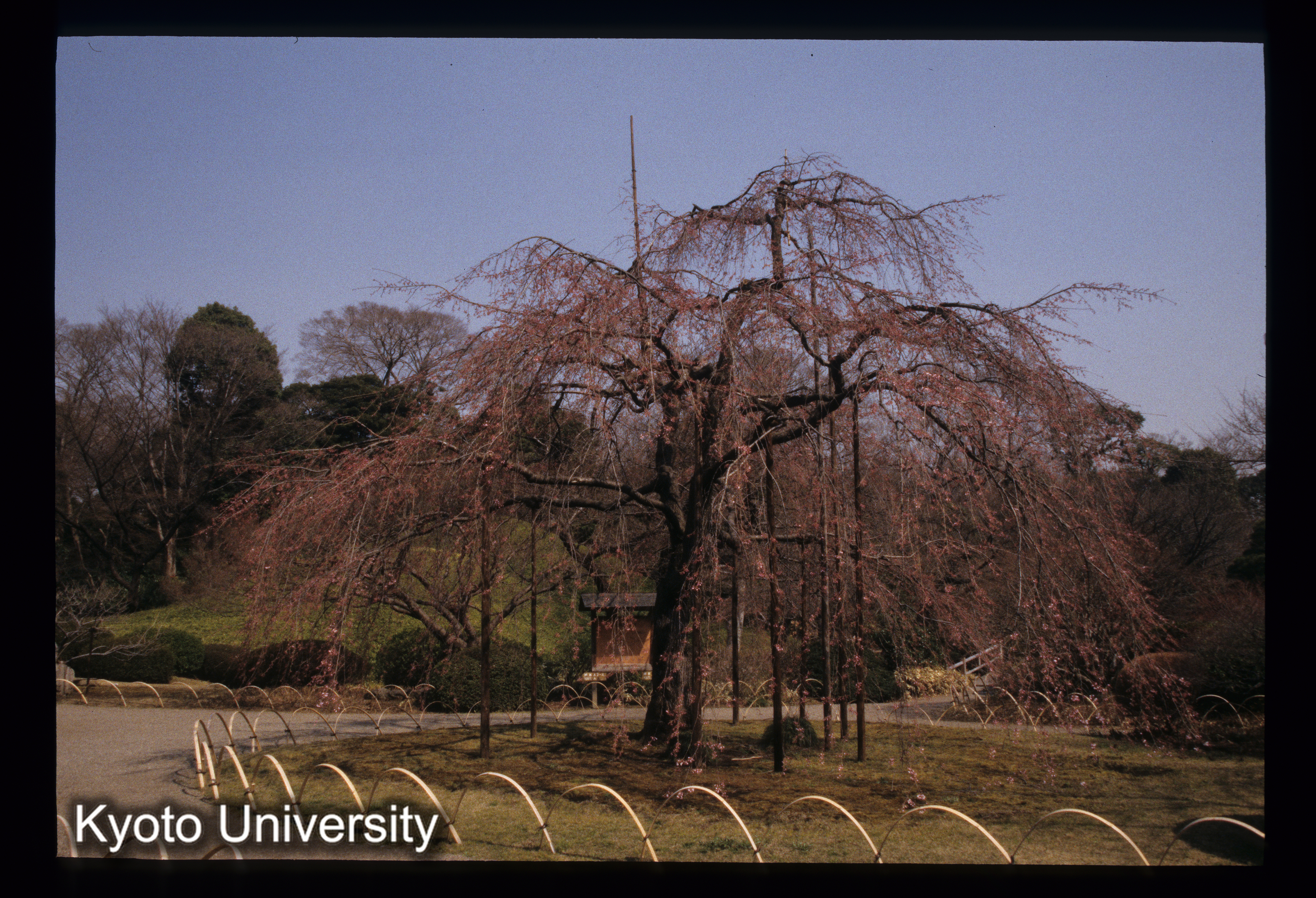 ［スライド］ (1)