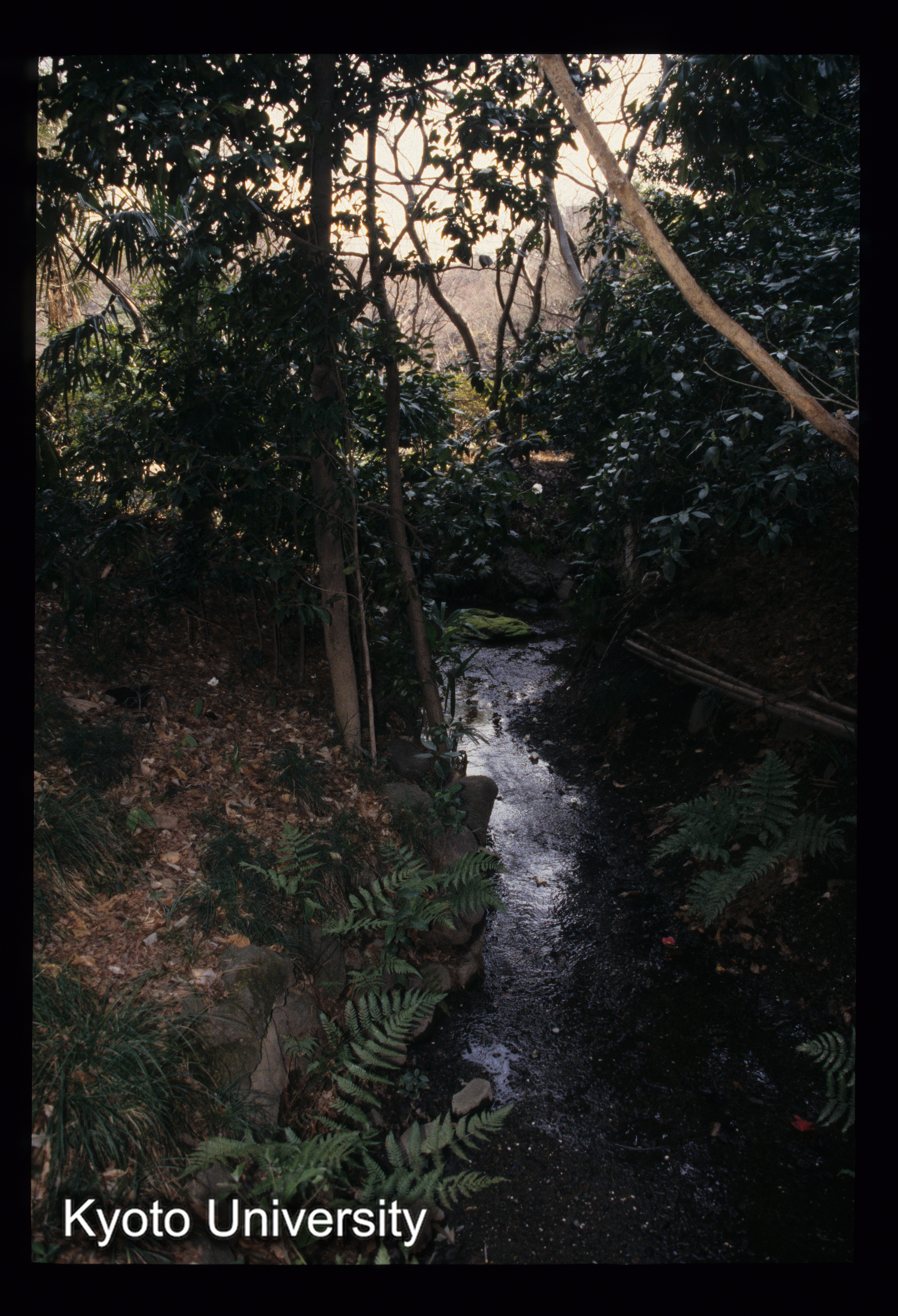 ［スライド］ (1)