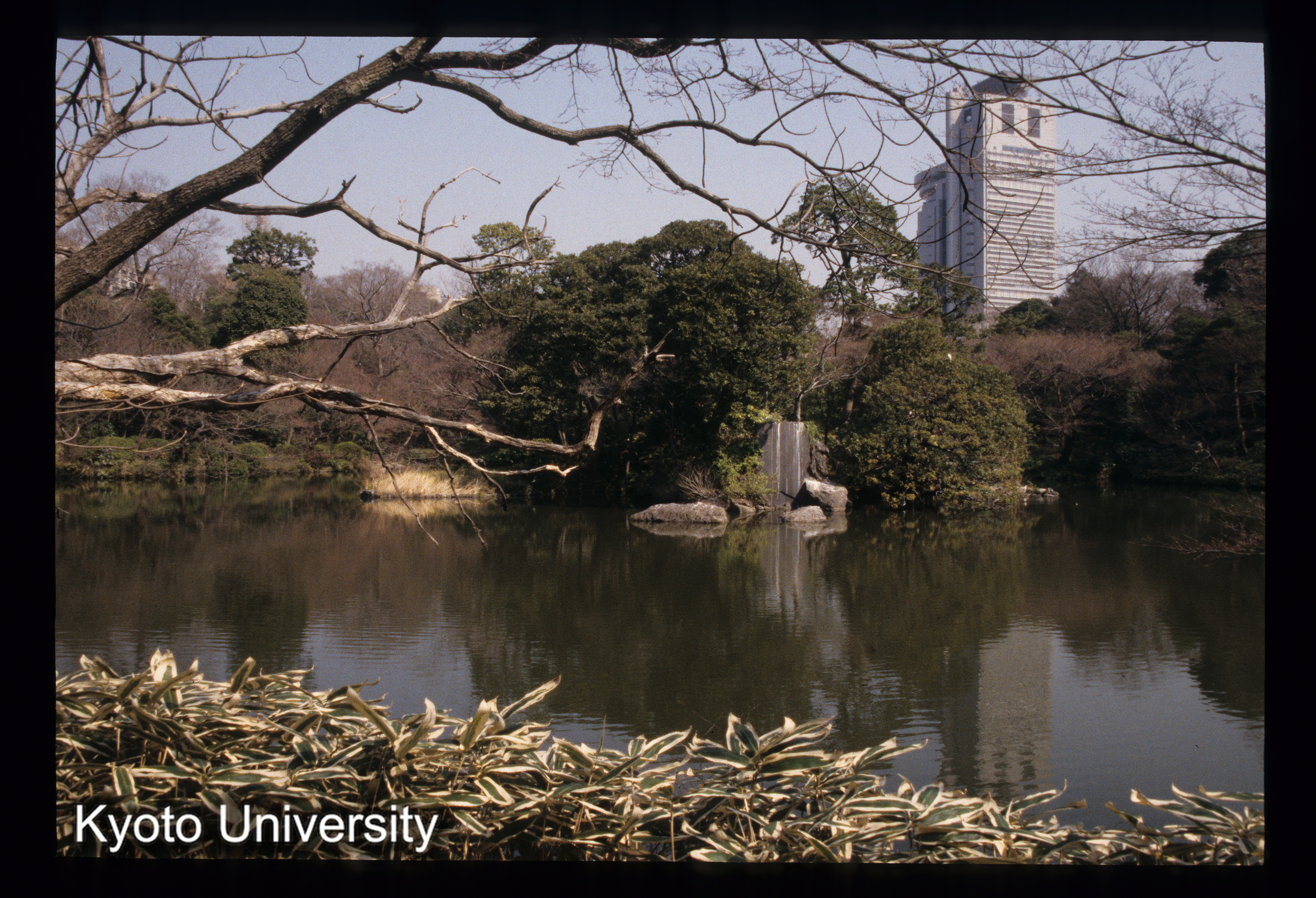 ［スライド］ (1)