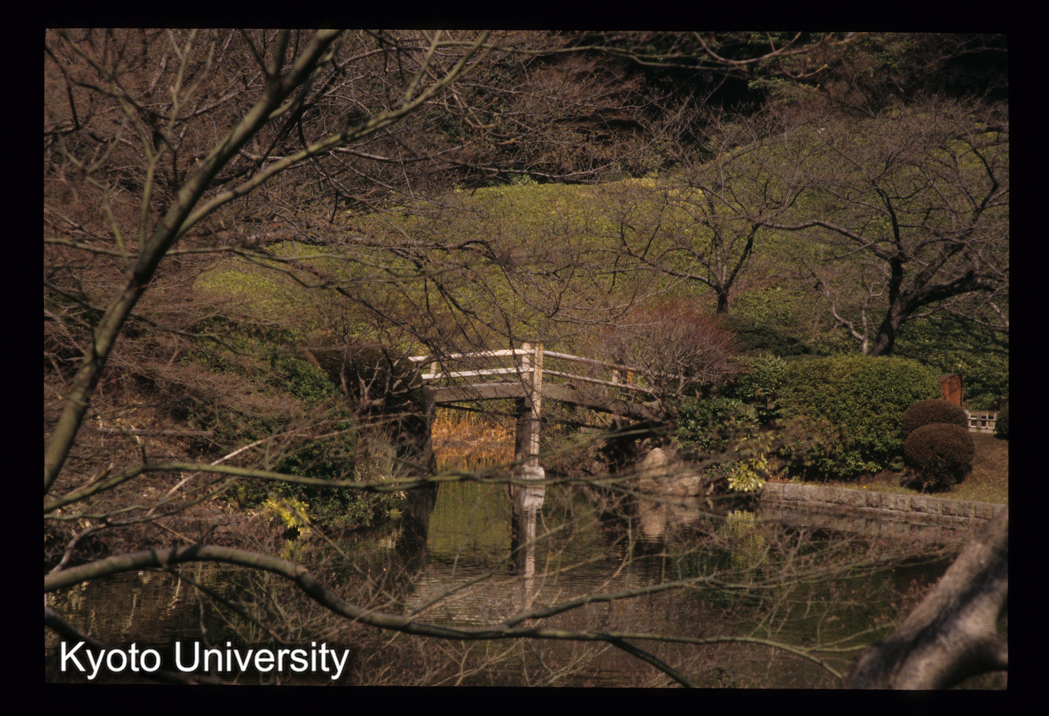 ［スライド］ (1)