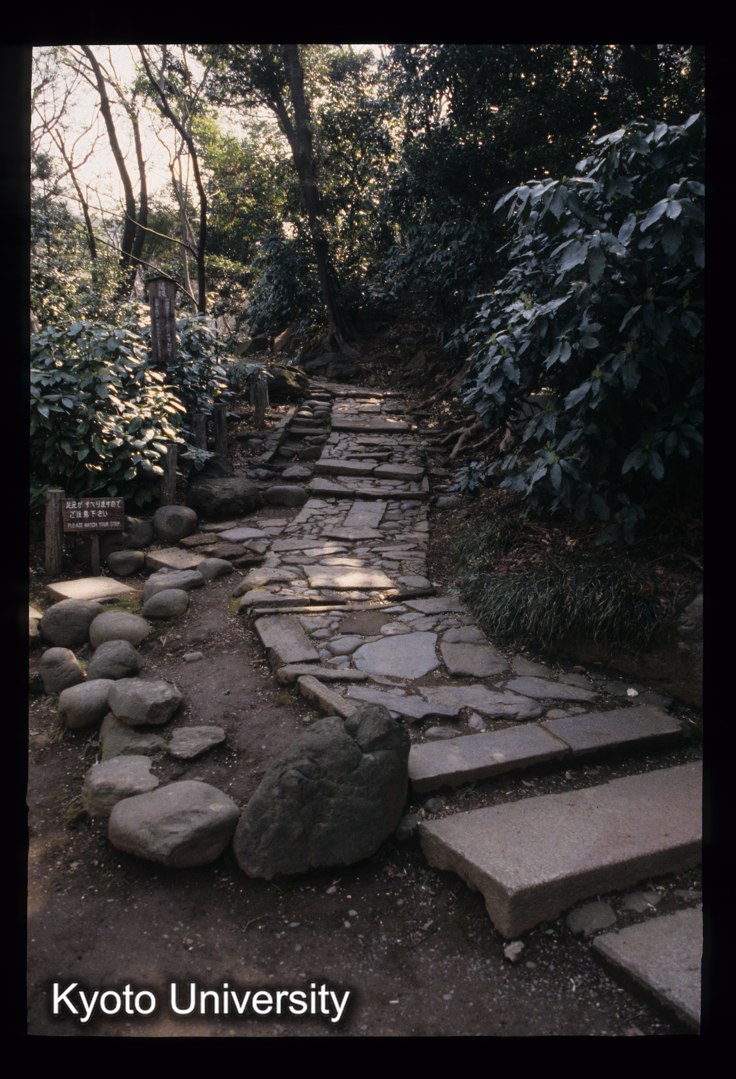 ［スライド］ (1)