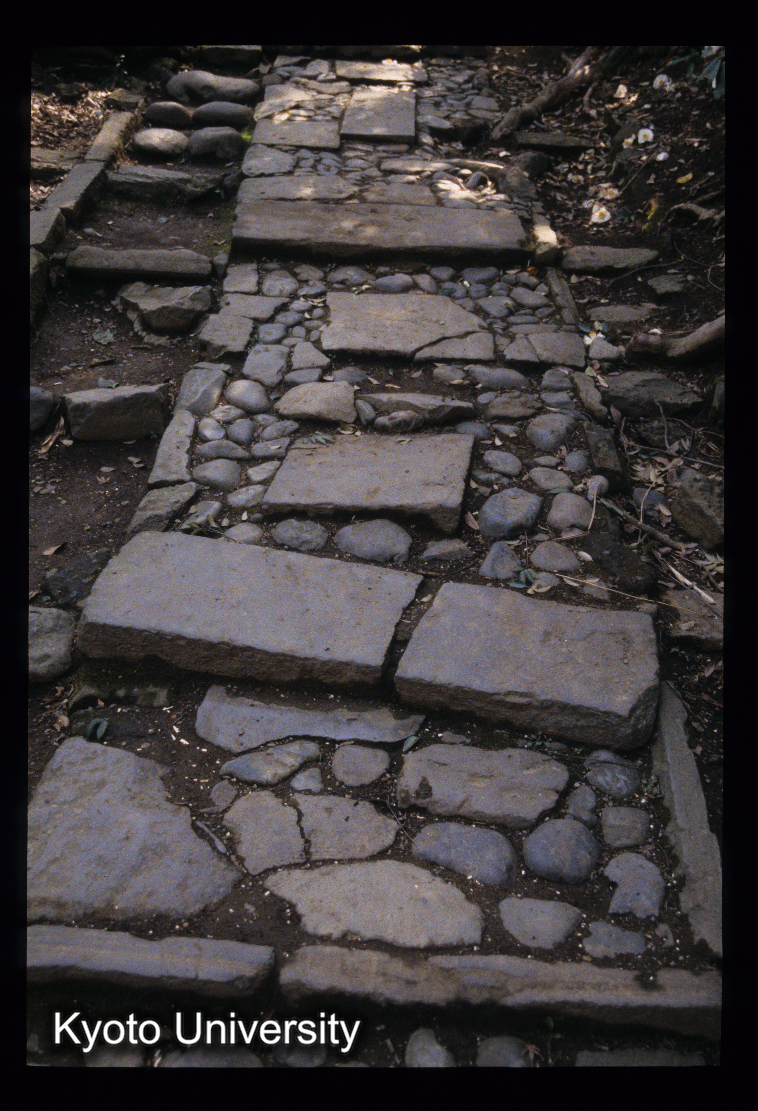 ［スライド］ (1)