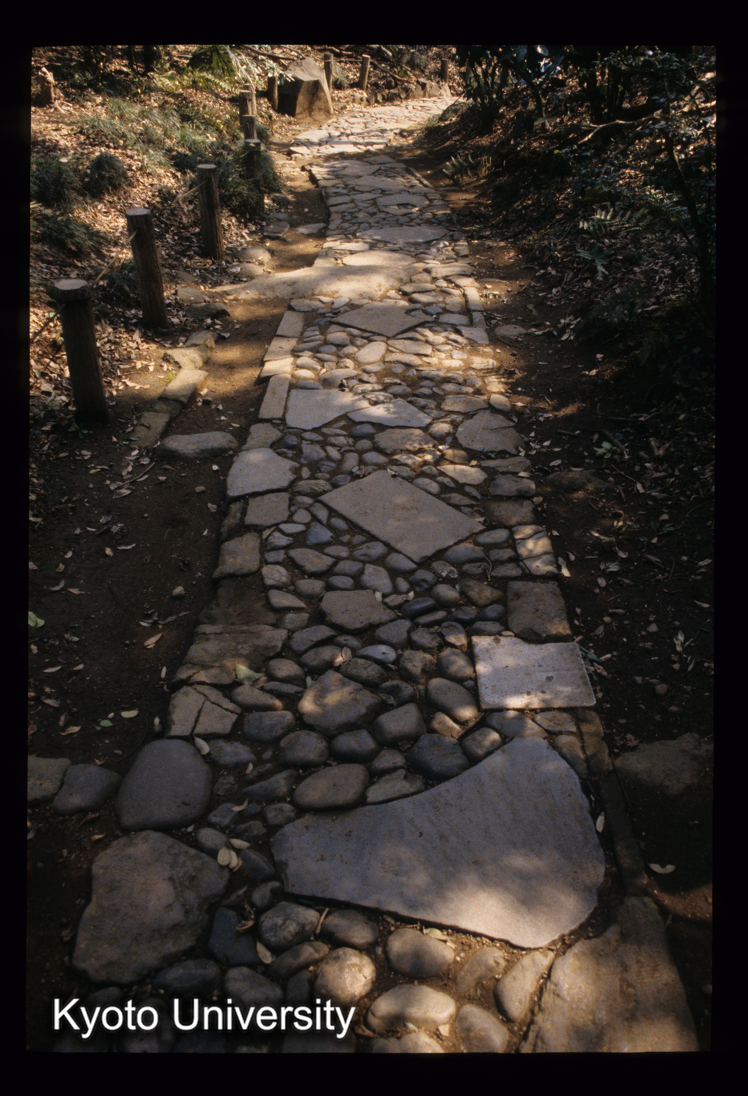 ［スライド］ (1)