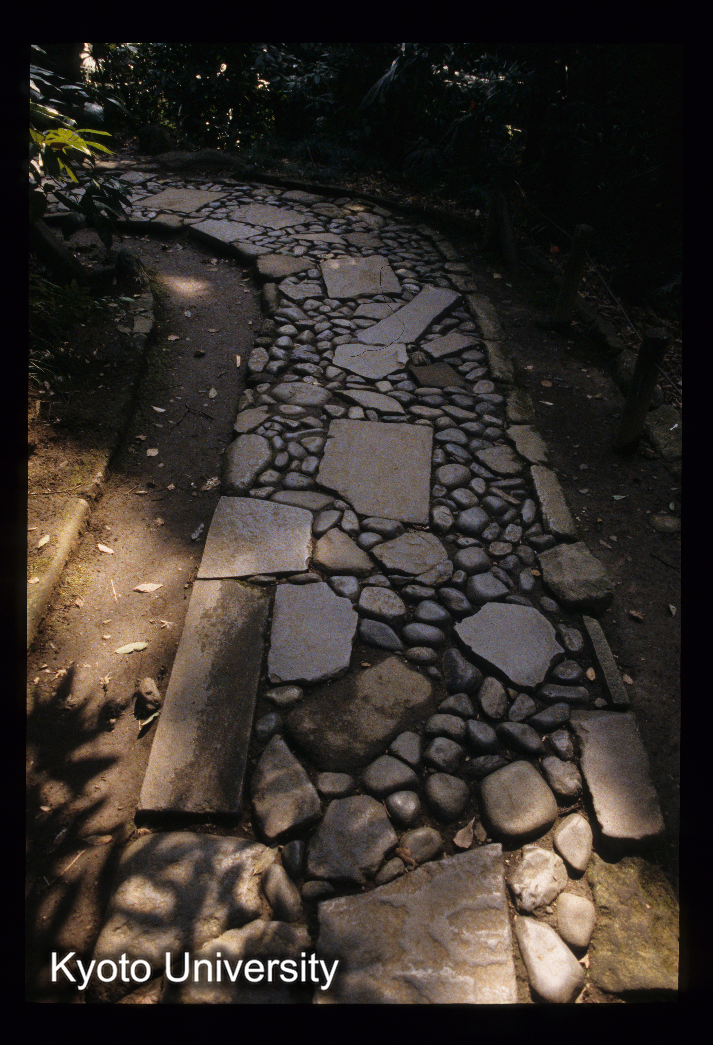 ［スライド］ (1)