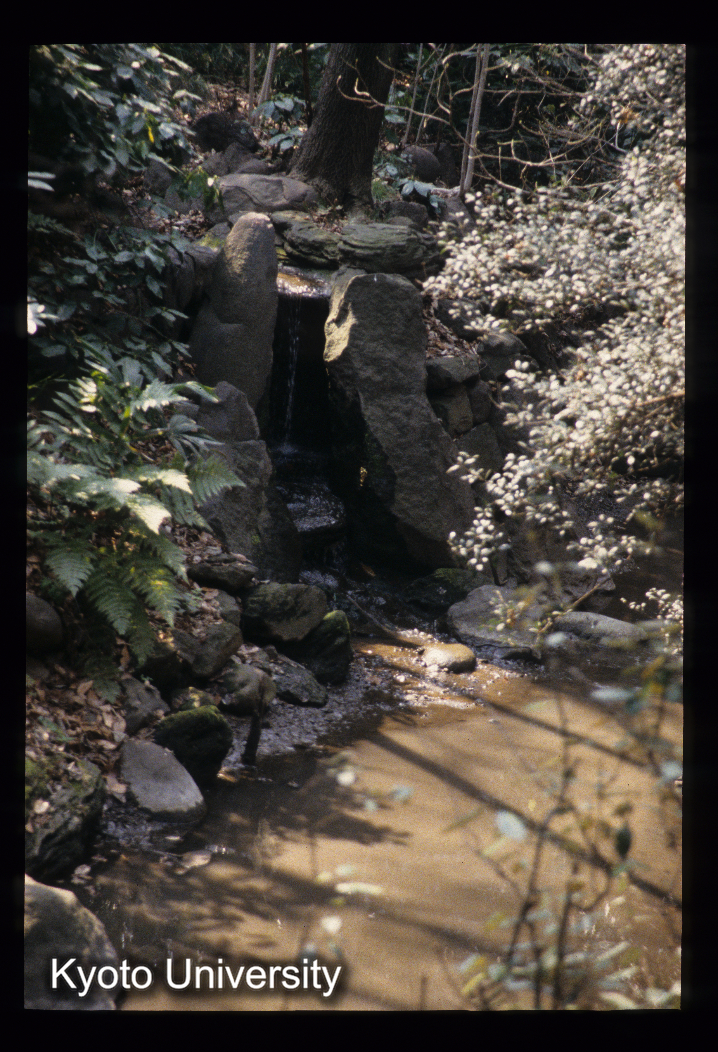 ［スライド］ (1)