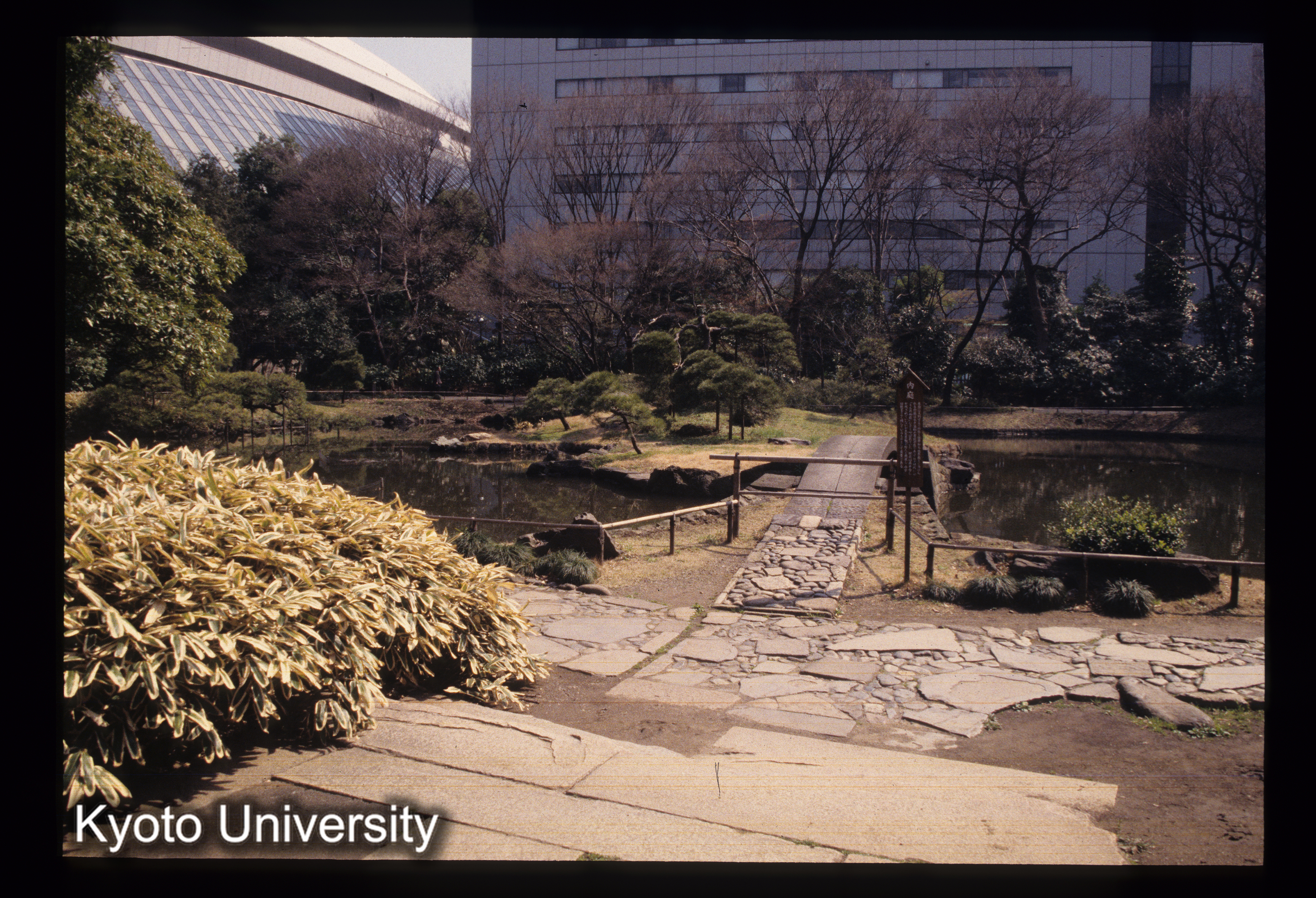 ［スライド］ (1)