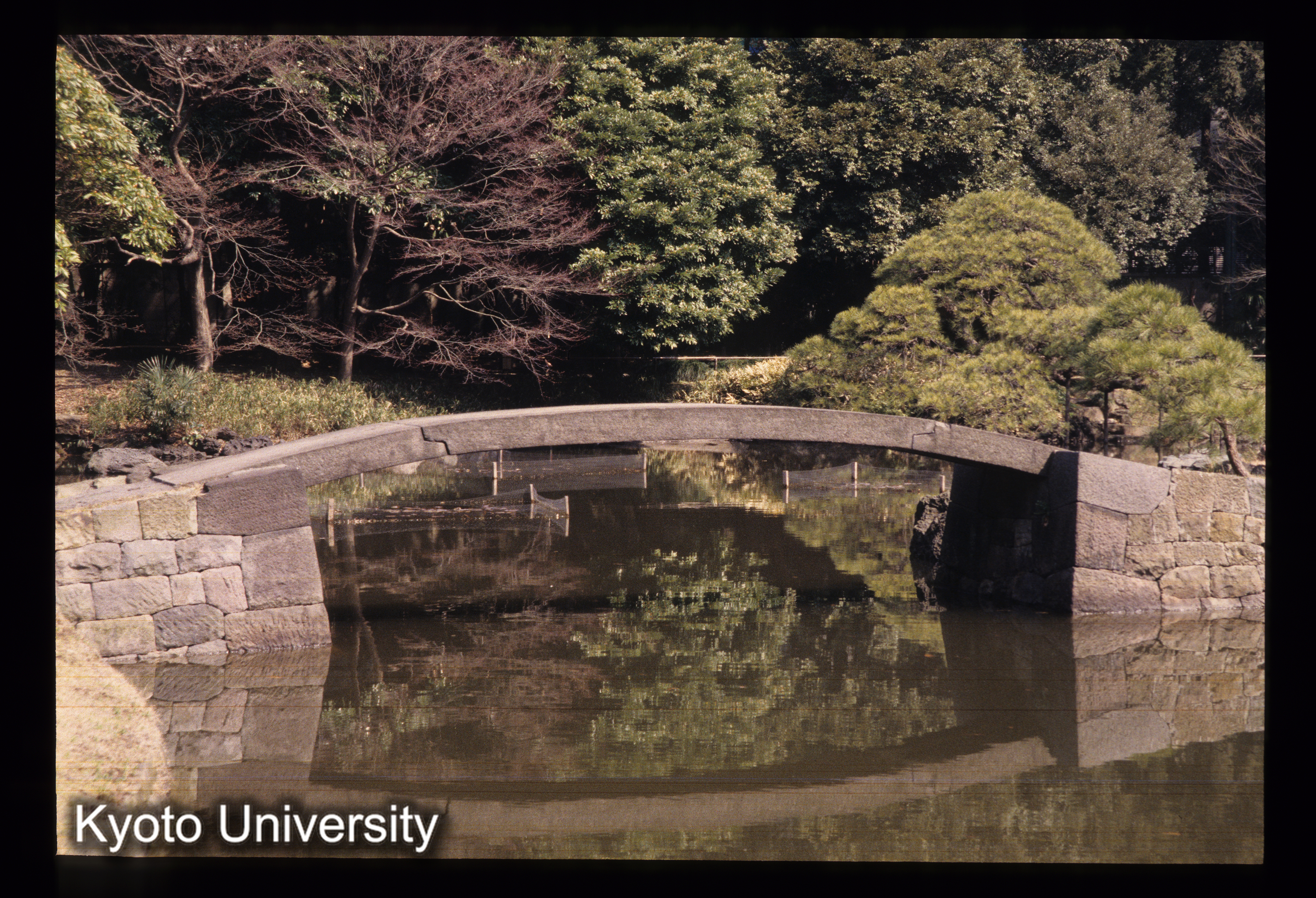 ［スライド］ (1)