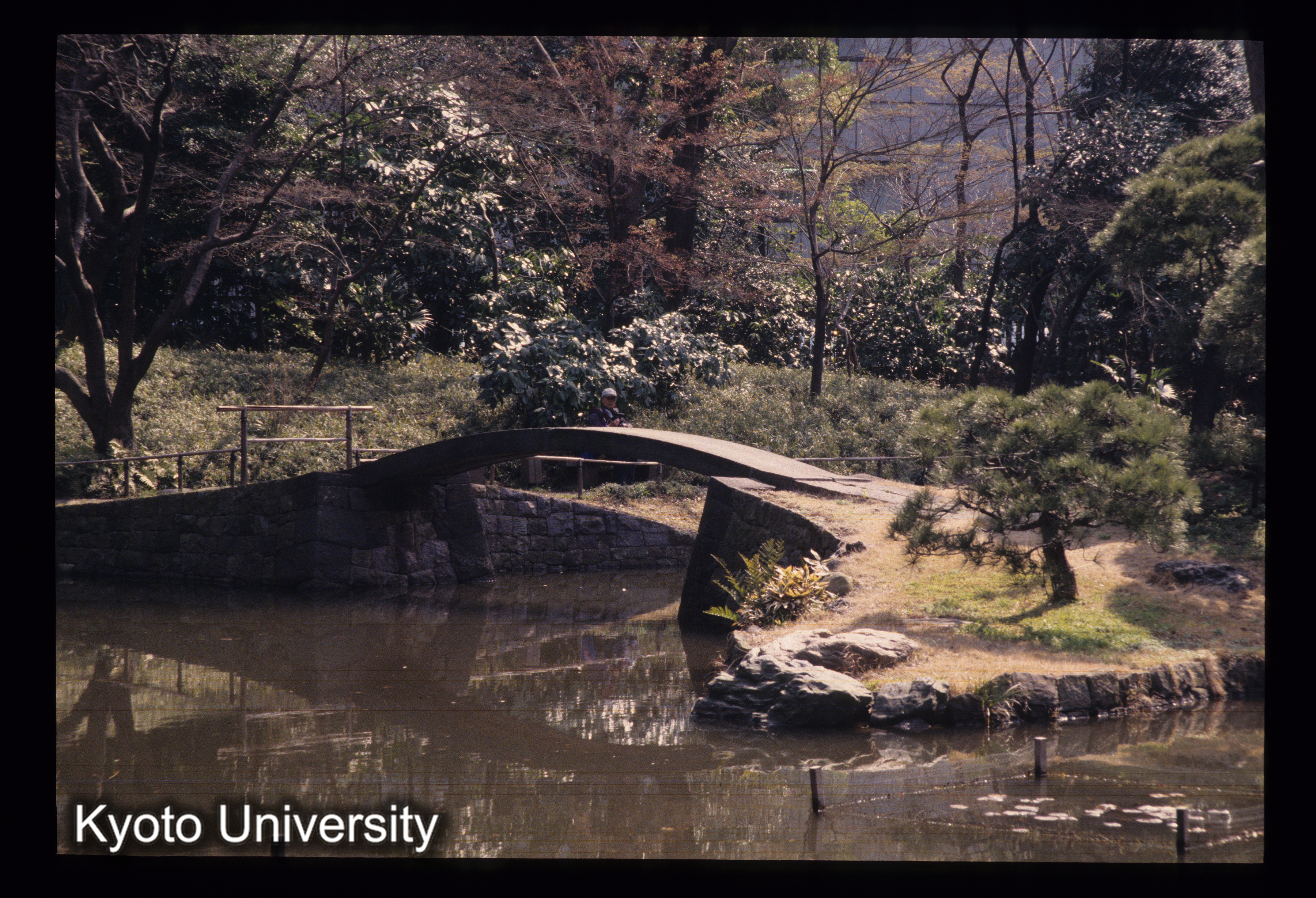 ［スライド］ (1)