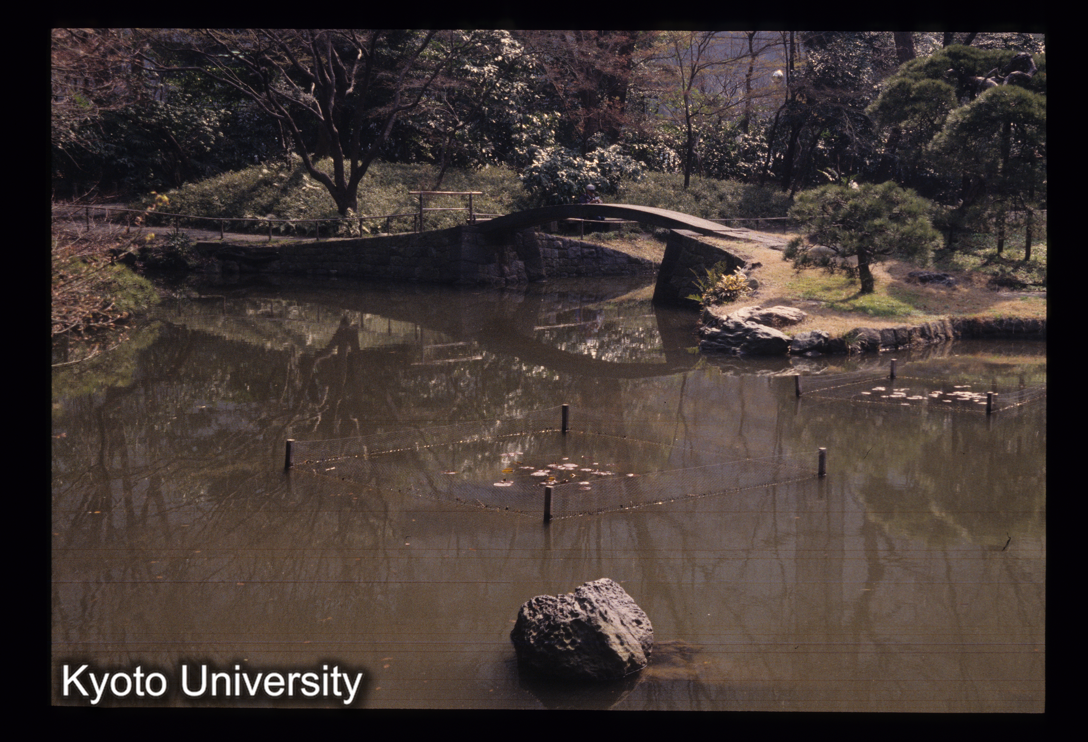 ［スライド］ (1)