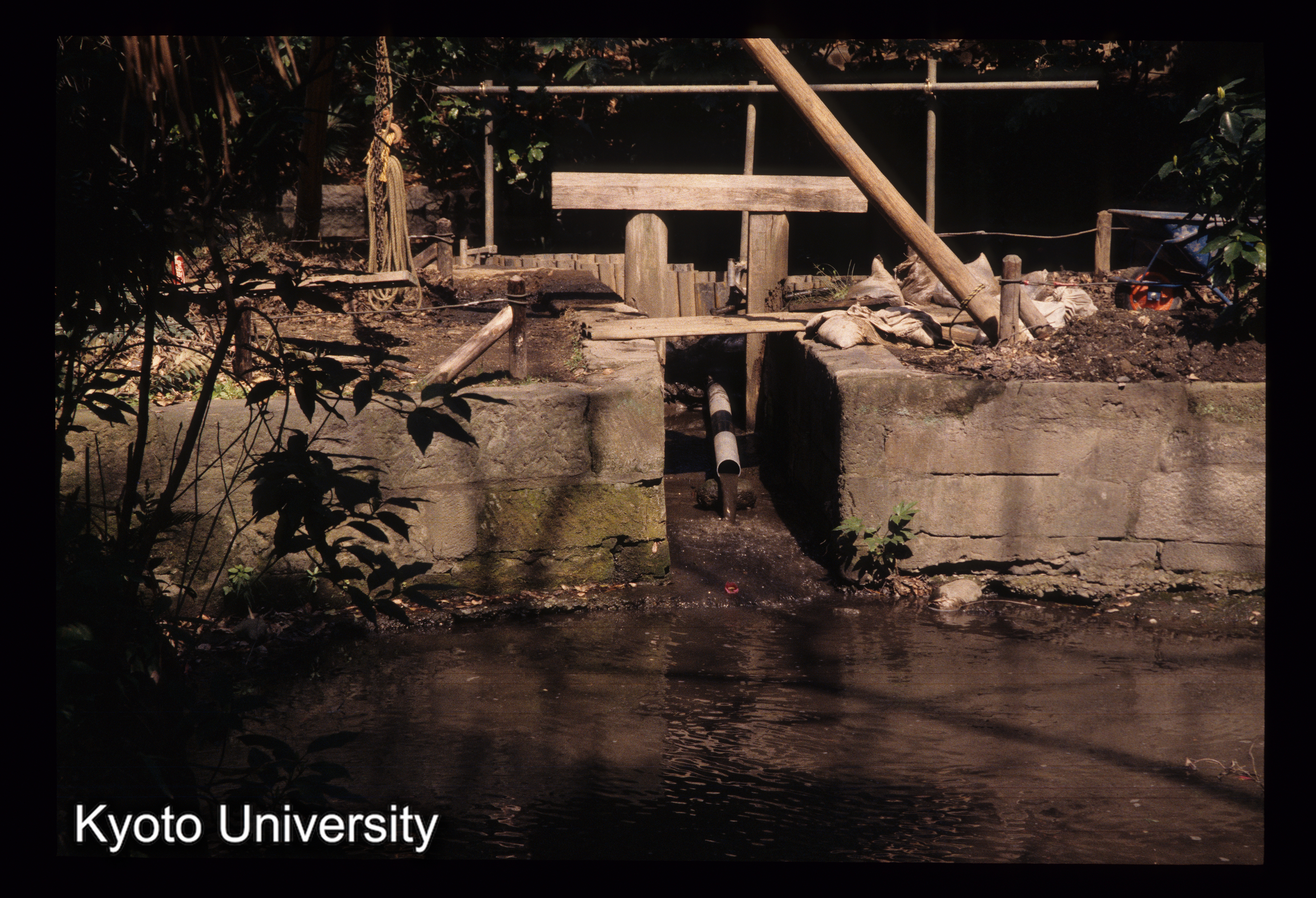 ［スライド］ (1)