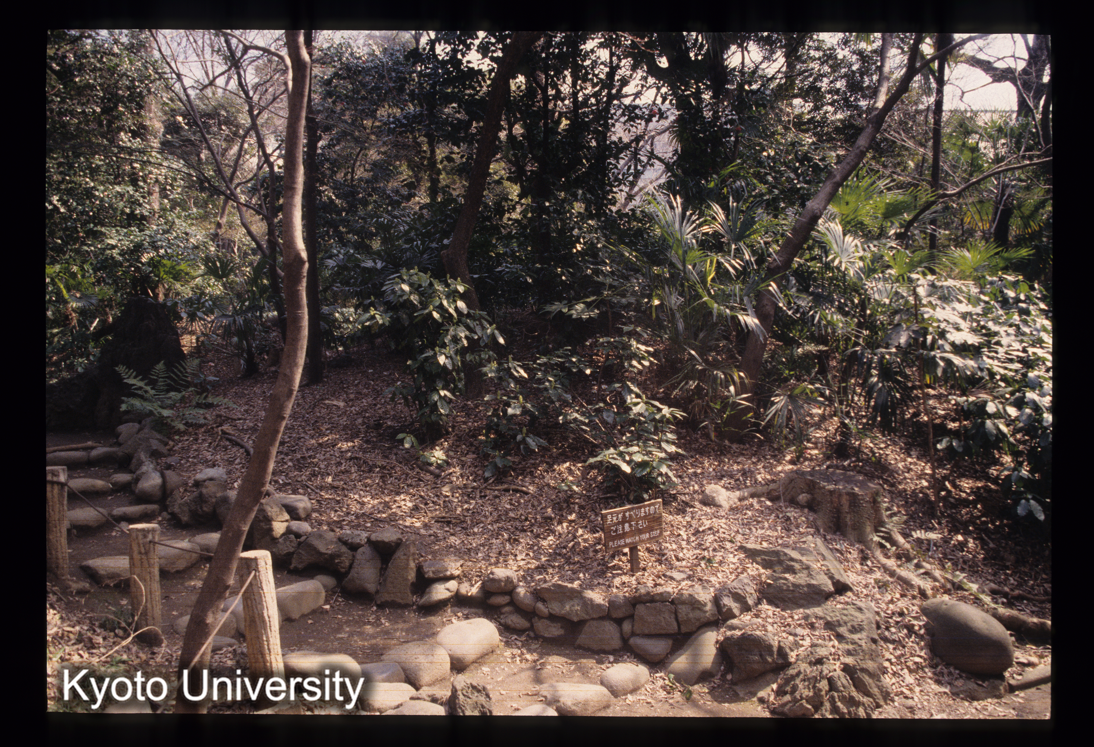 ［スライド］ (1)