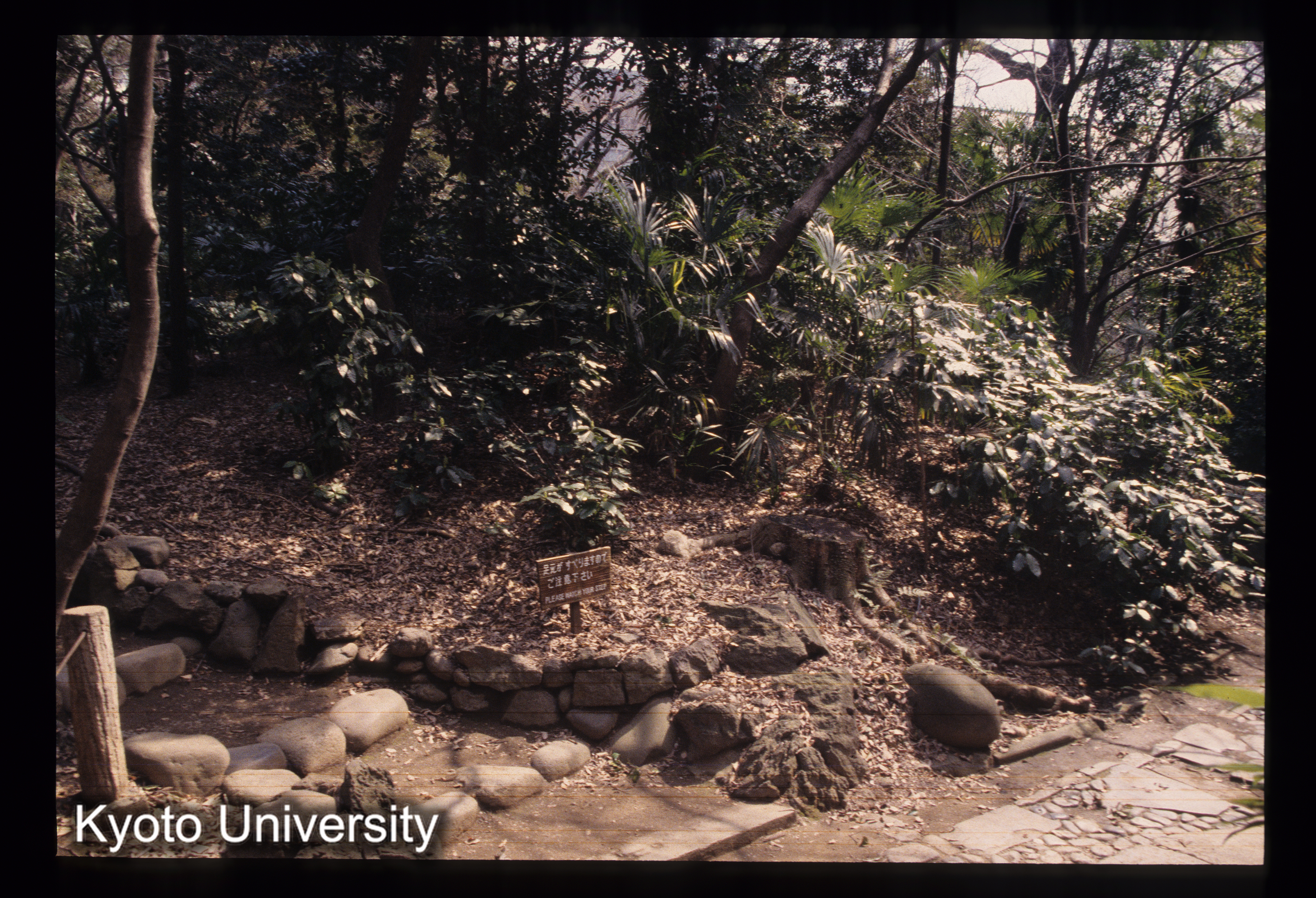 ［スライド］ (1)