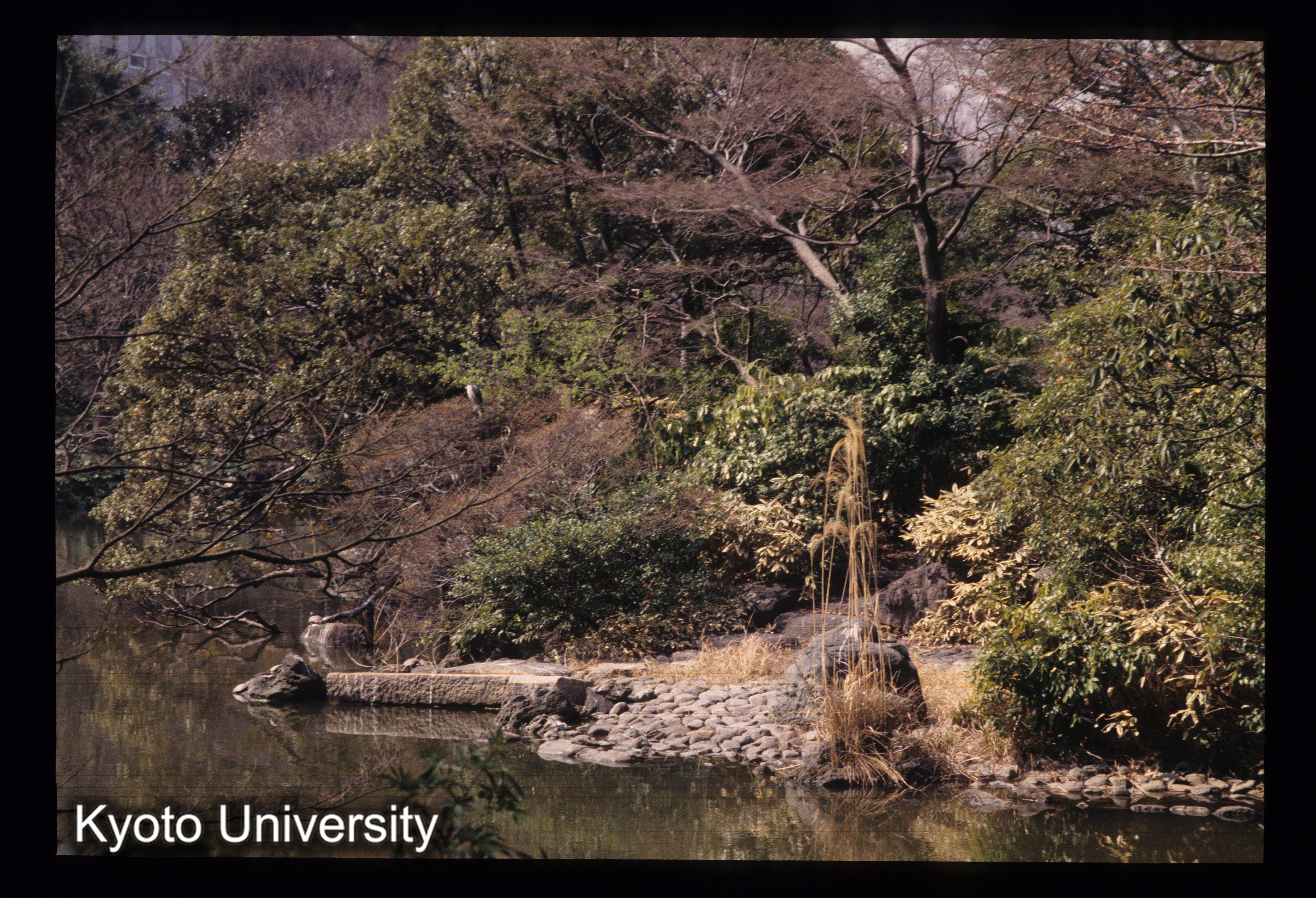 ［スライド］ (1)