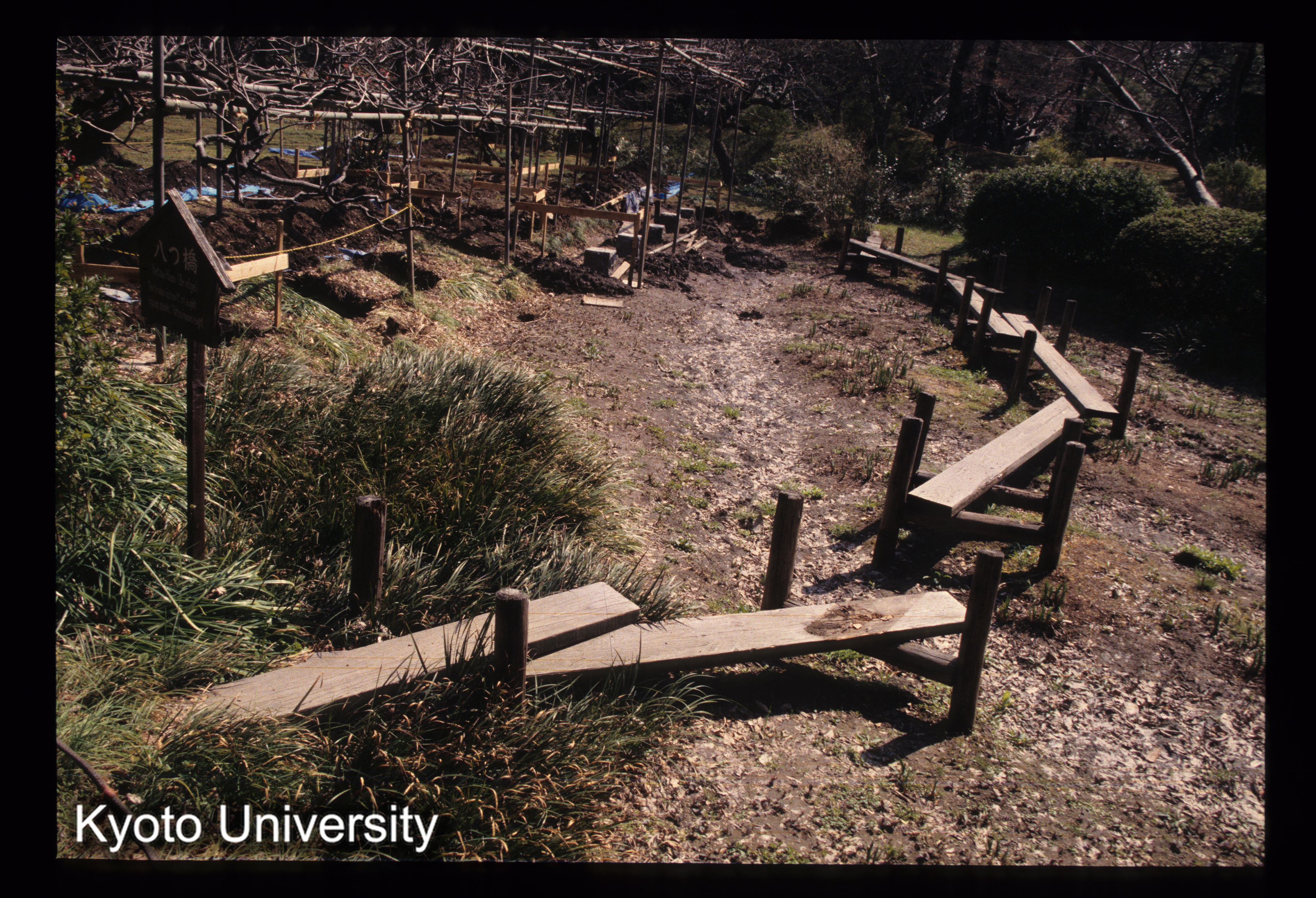 ［スライド］ (1)