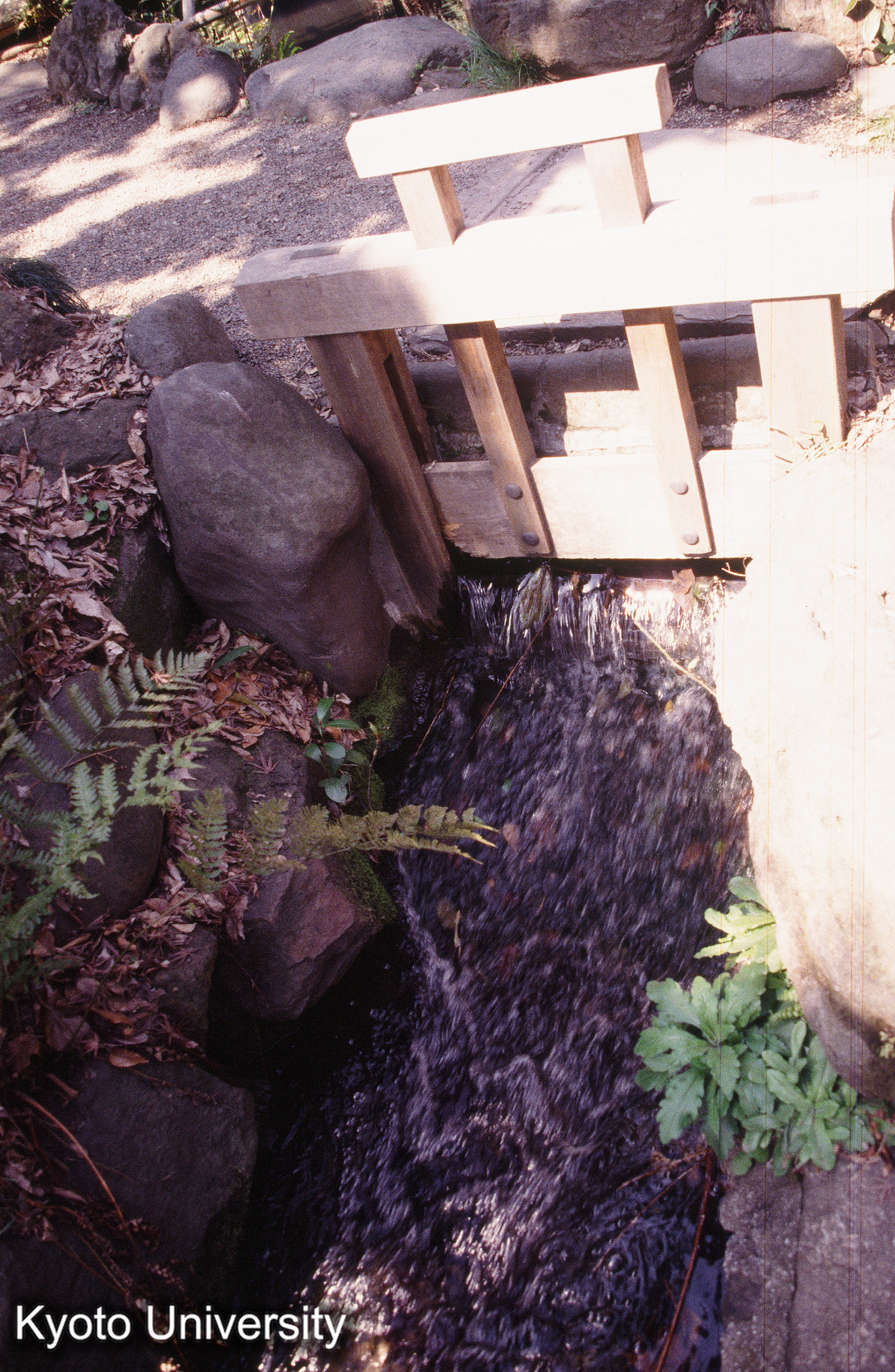 ［スライド］ (1)