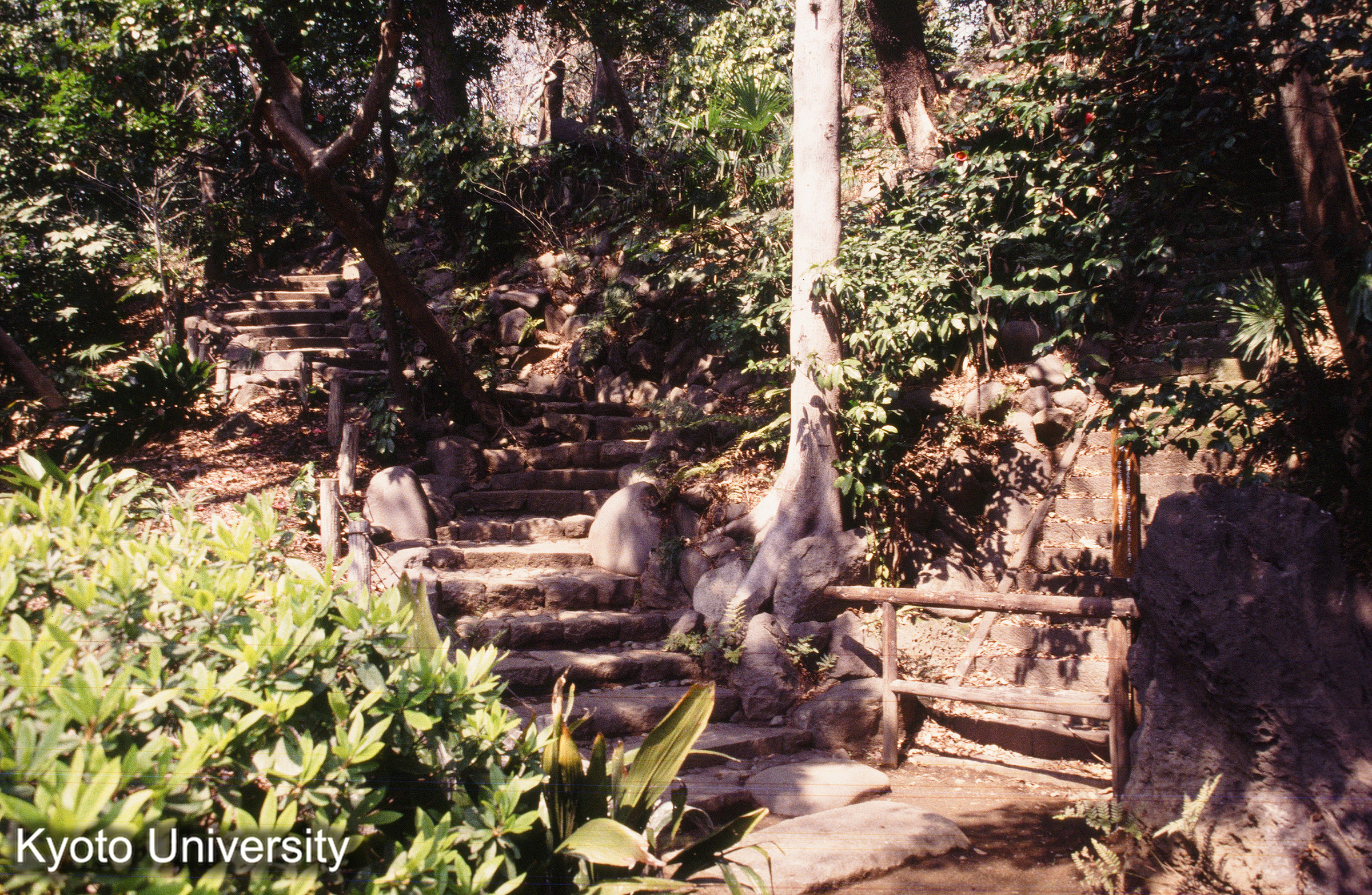 ［スライド］ (1)