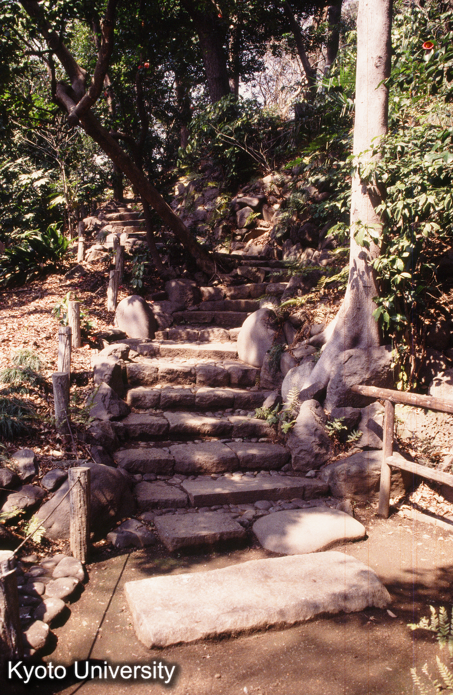 ［スライド］ (1)