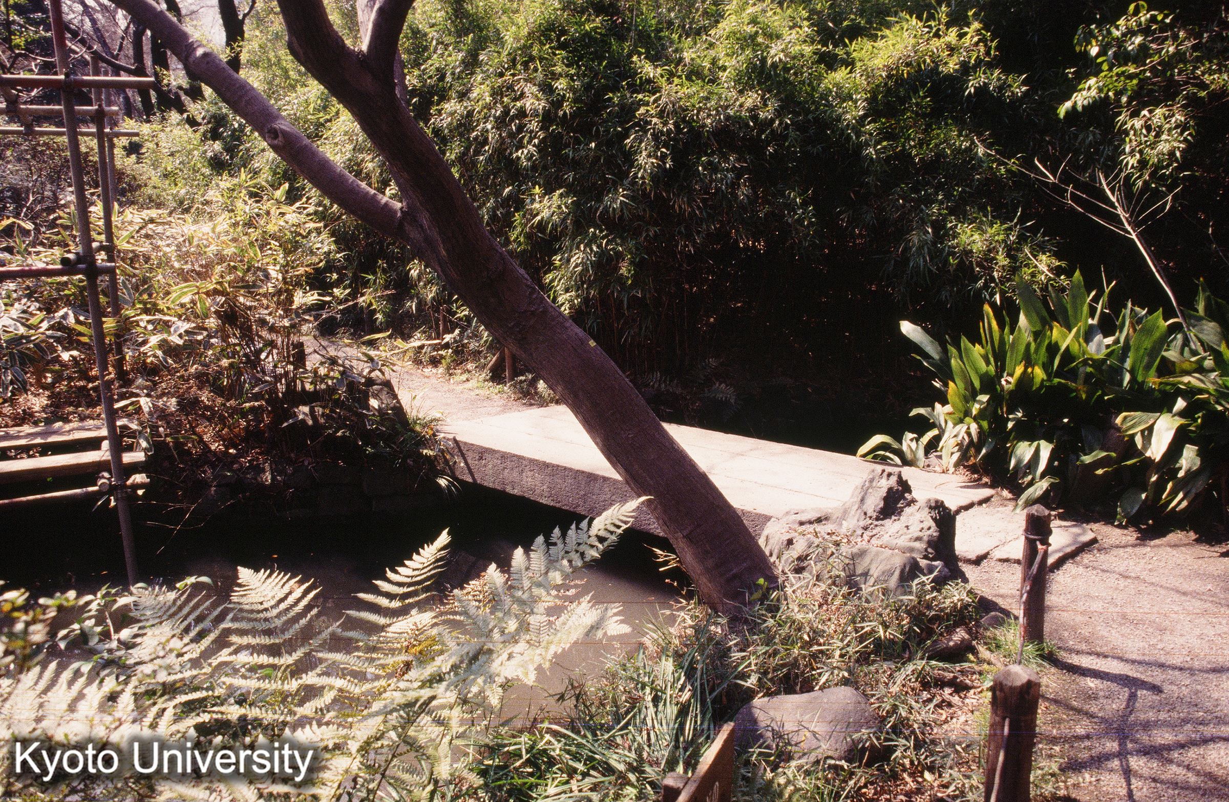 ［スライド］ (1)