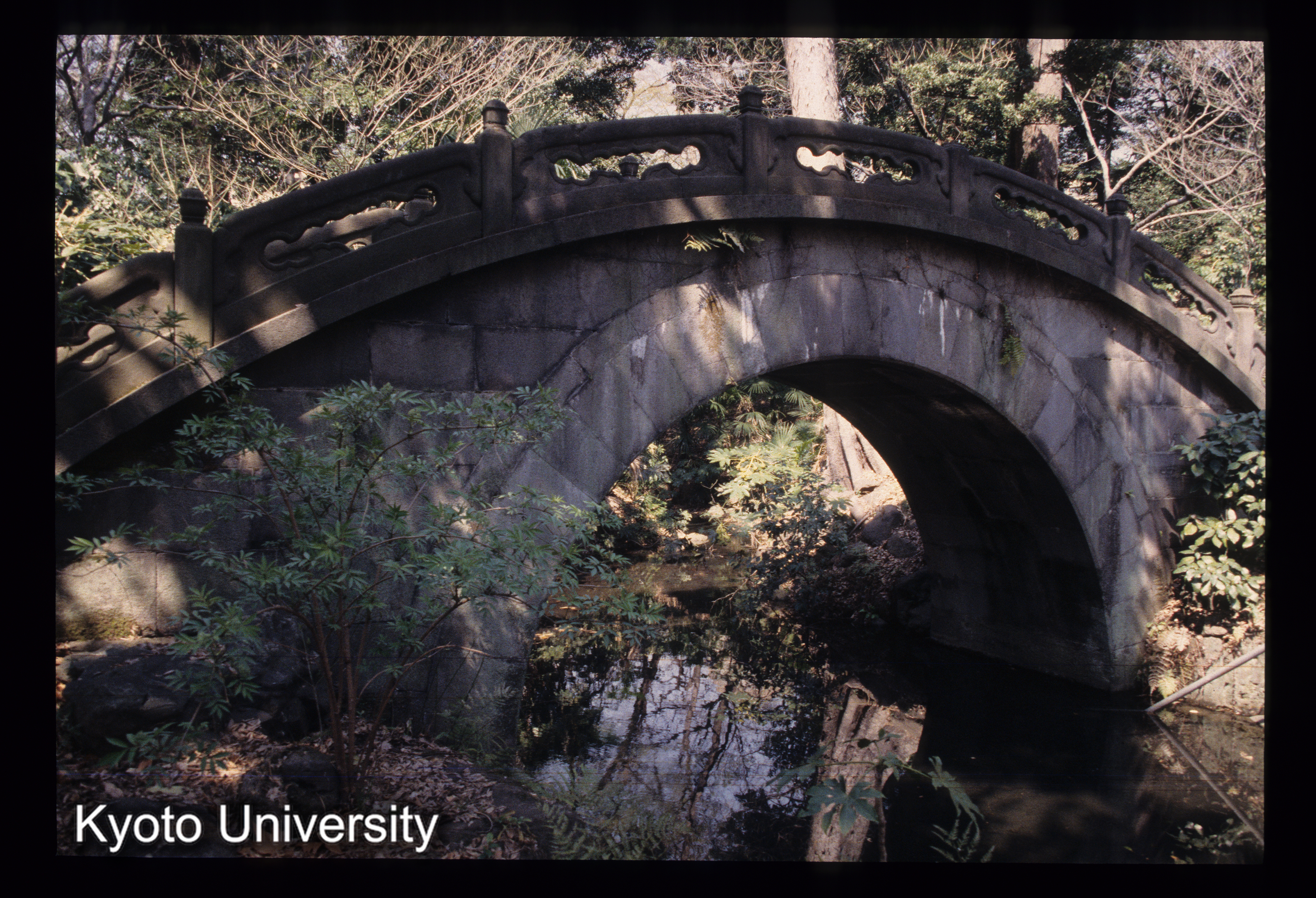 ［スライド］ (1)