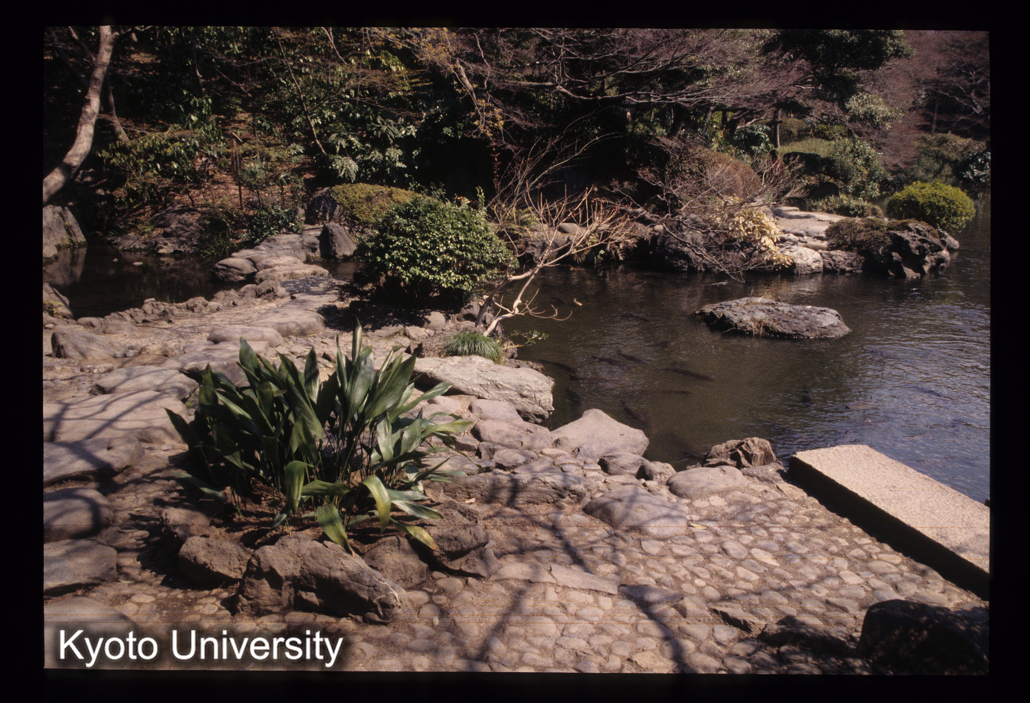 ［スライド］ (1)