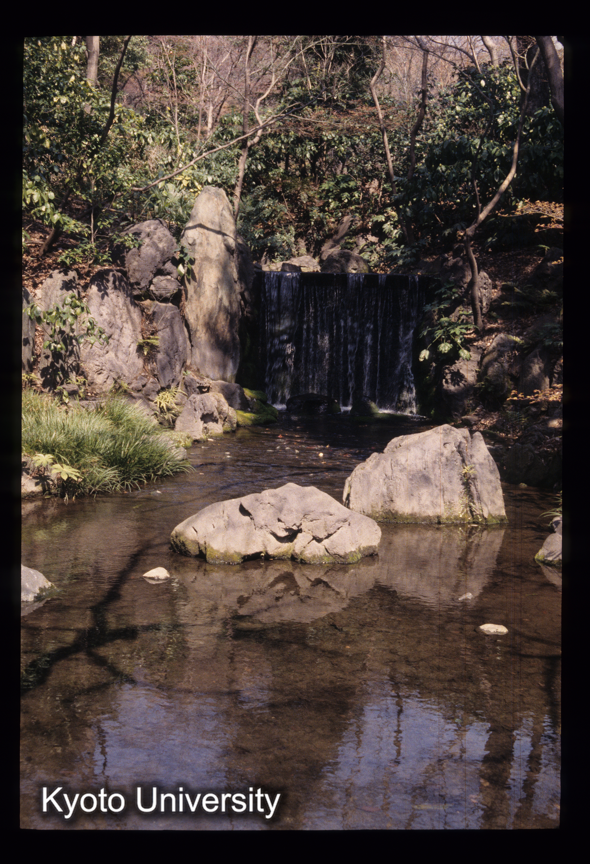 ［スライド］ (1)